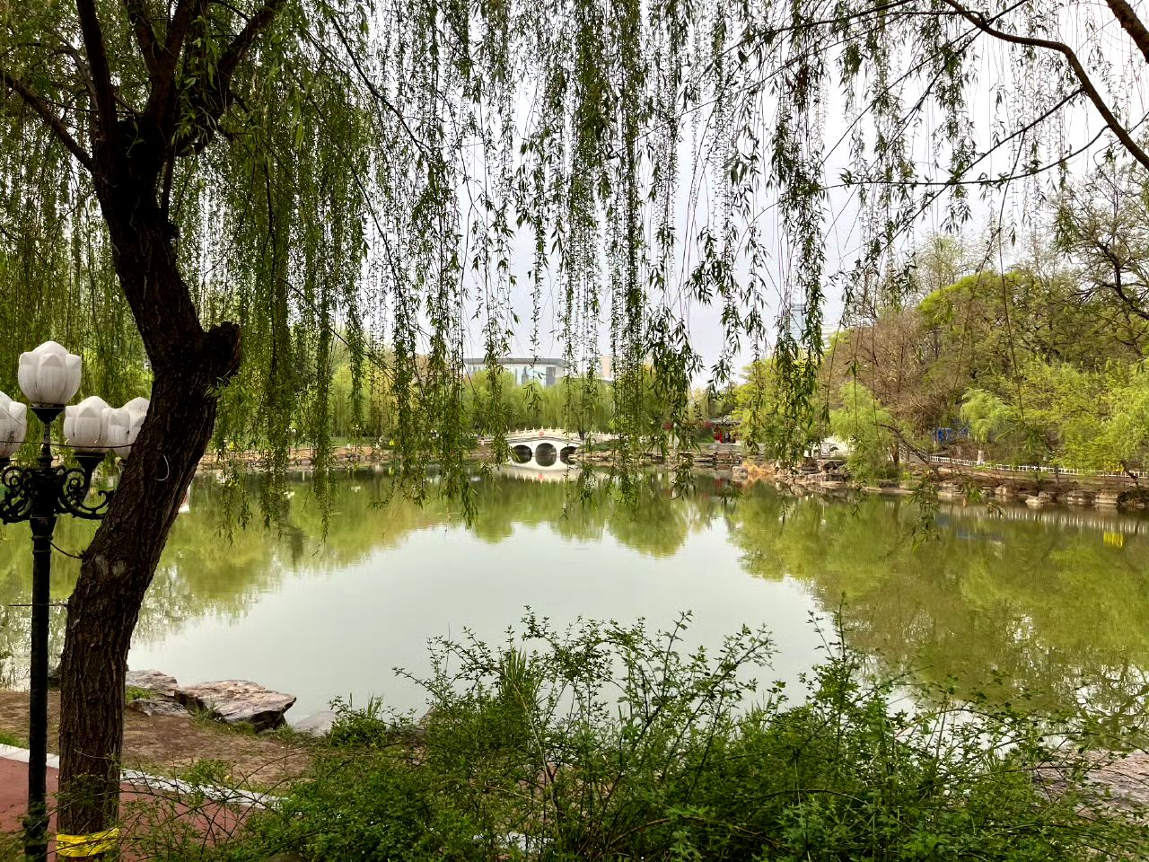 长安公园旅行图片 3