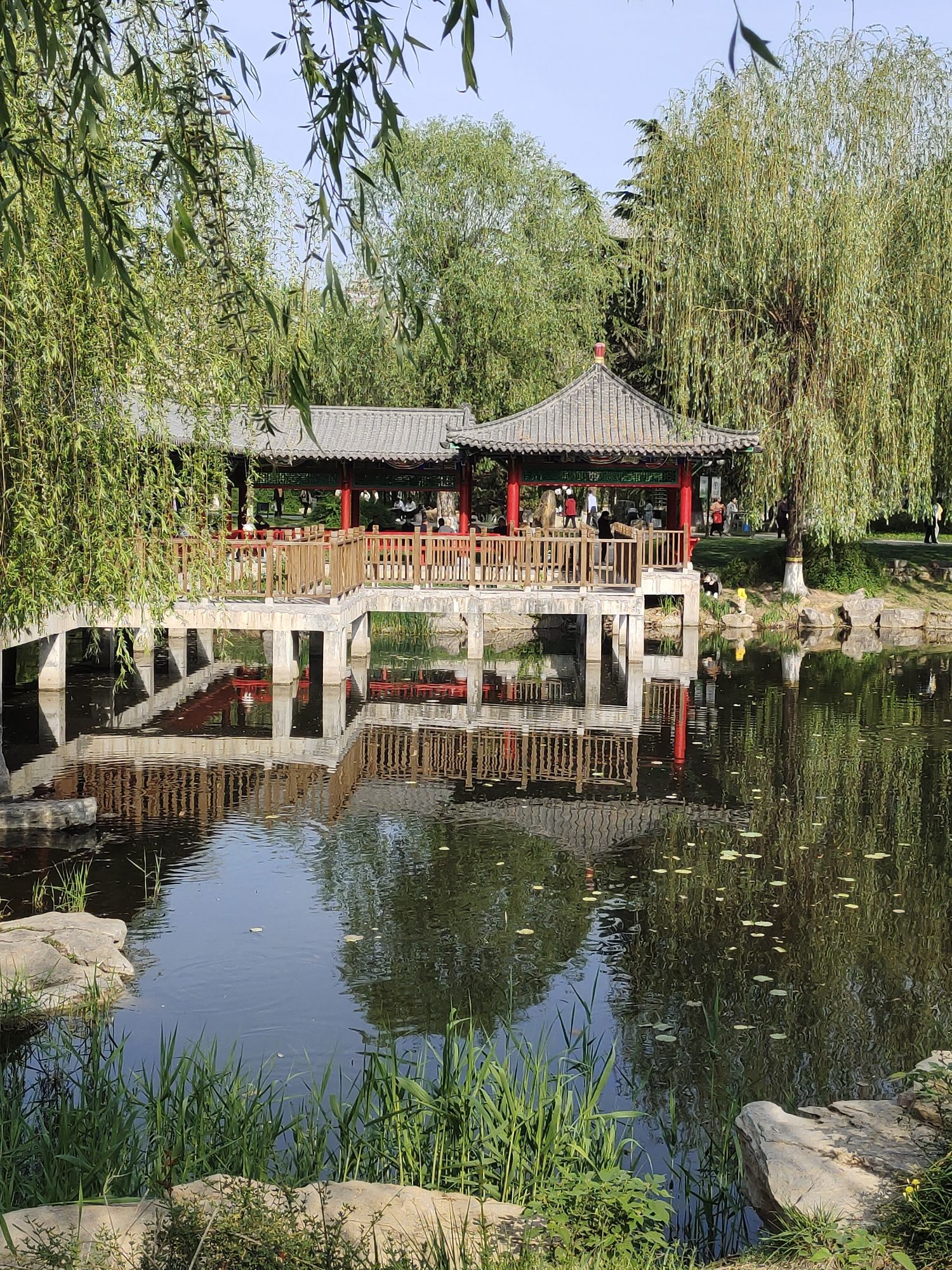长安公园旅行图片 2
