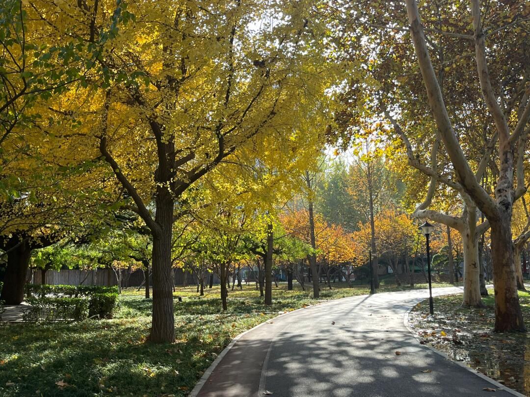 石门公园旅行图片 1
