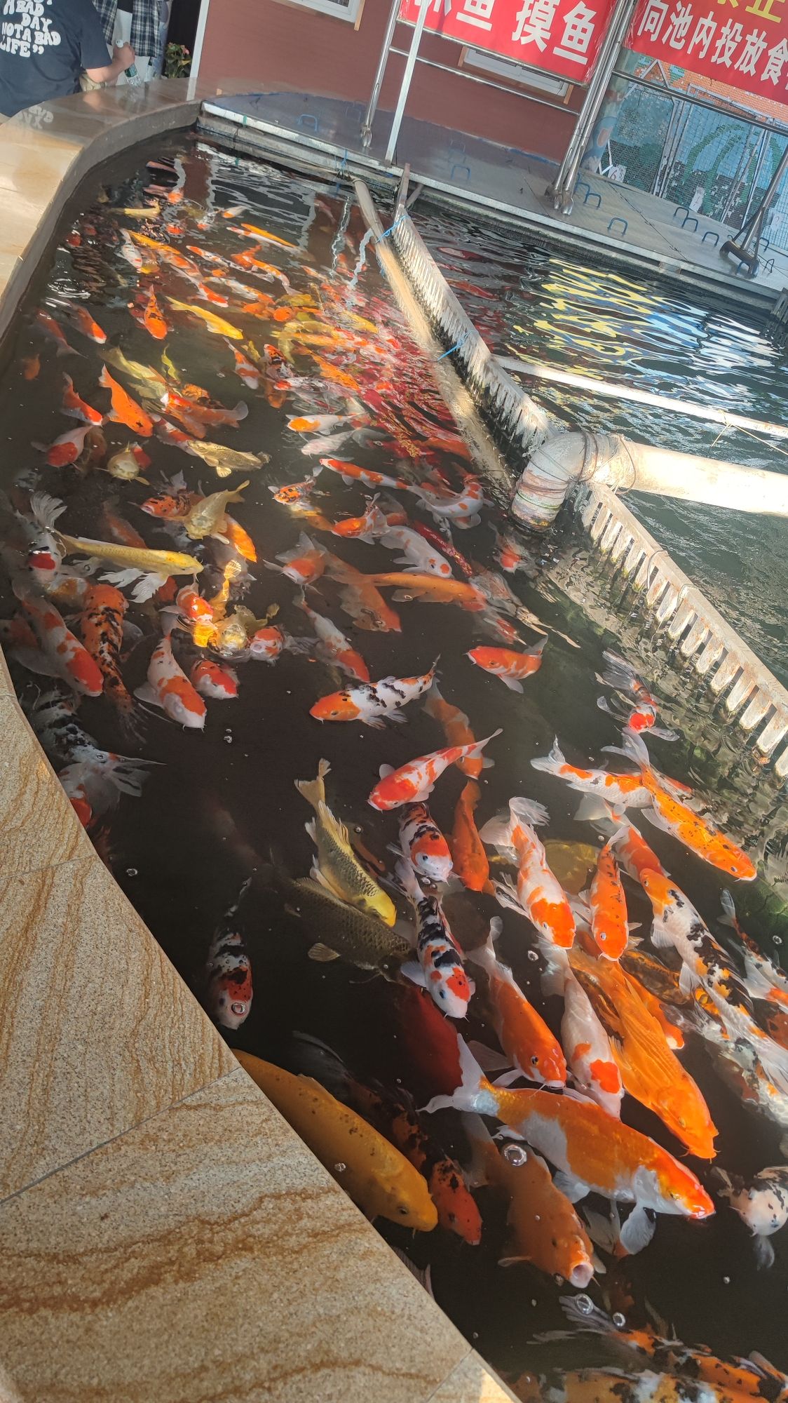 水上公园旅行图片 3