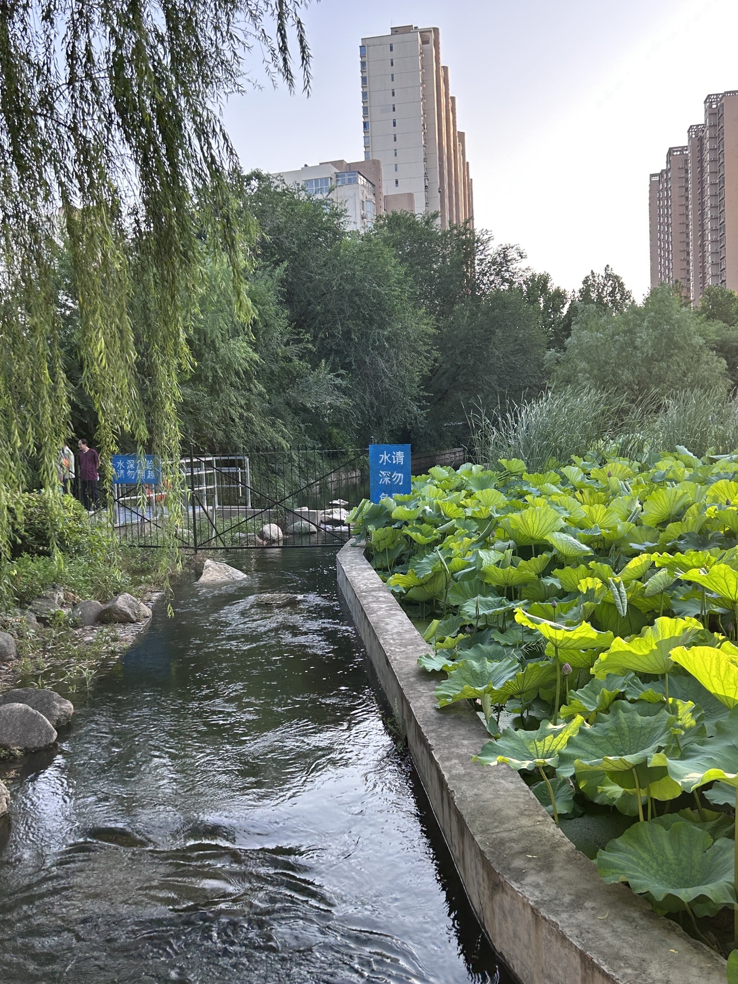 元南公园旅行图片 3