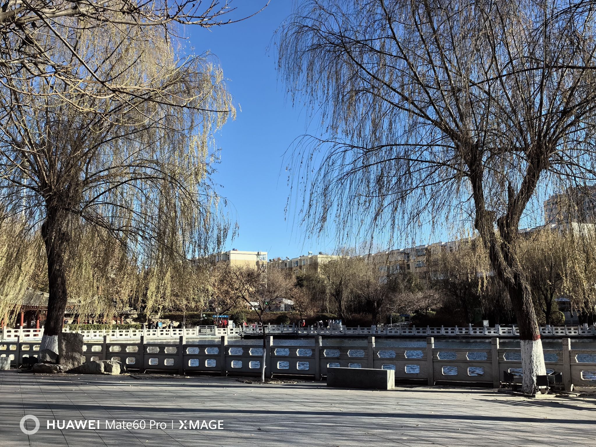 元南公园旅行图片 2