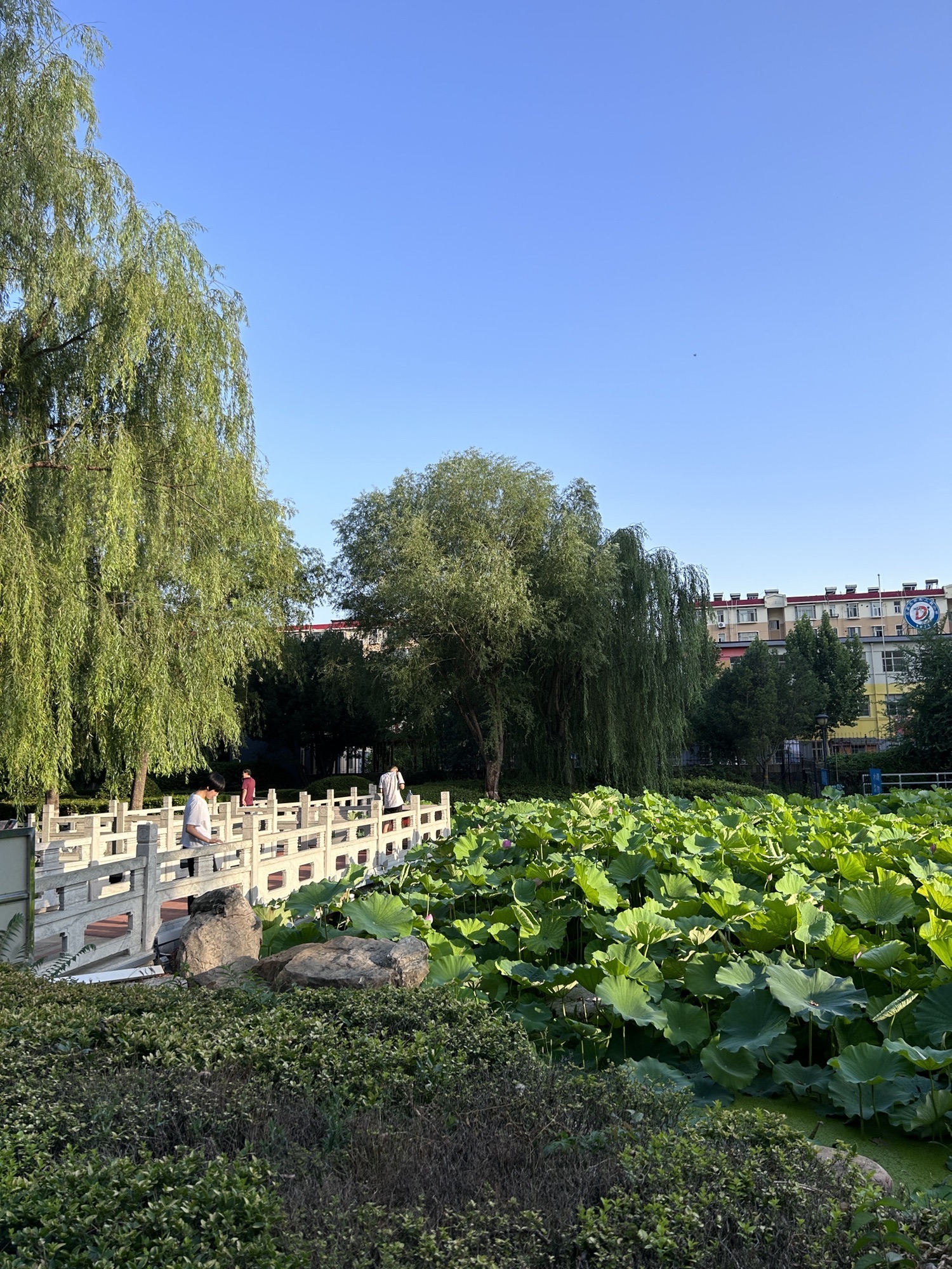 元南公园旅行图片 2
