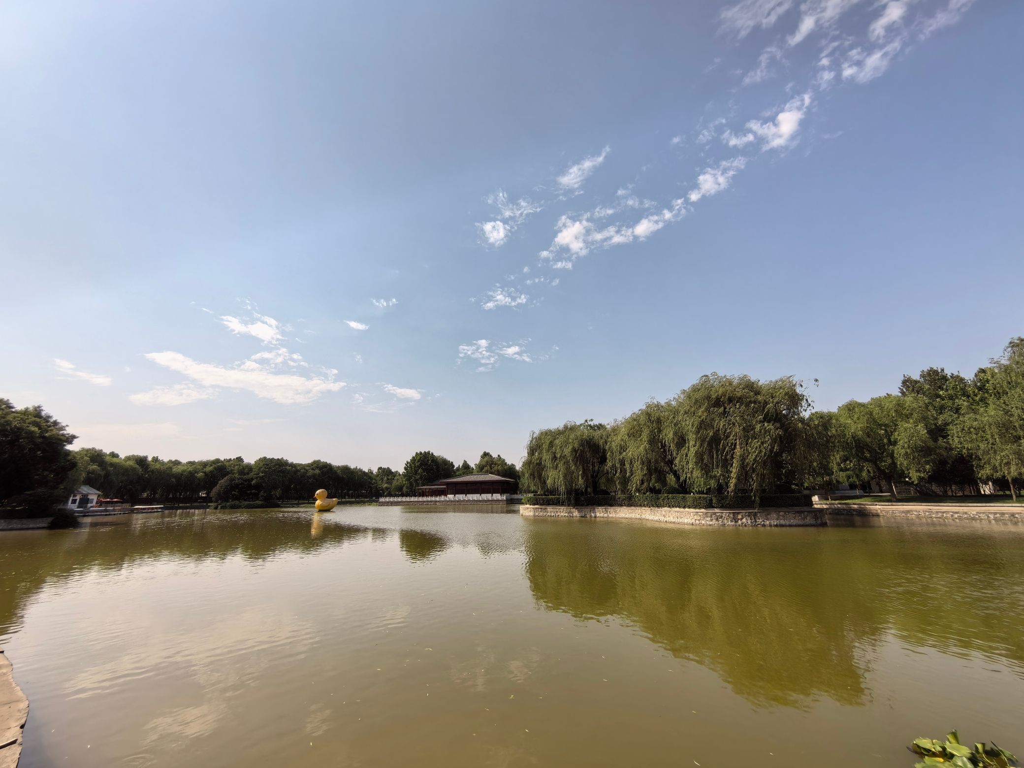 中山公园旅行图片 3
