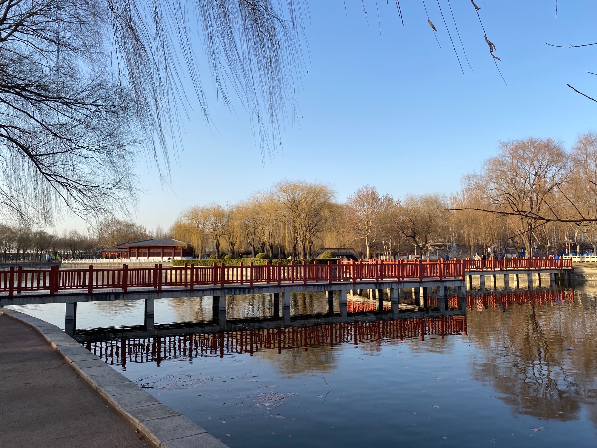 中山公园旅行图片 2