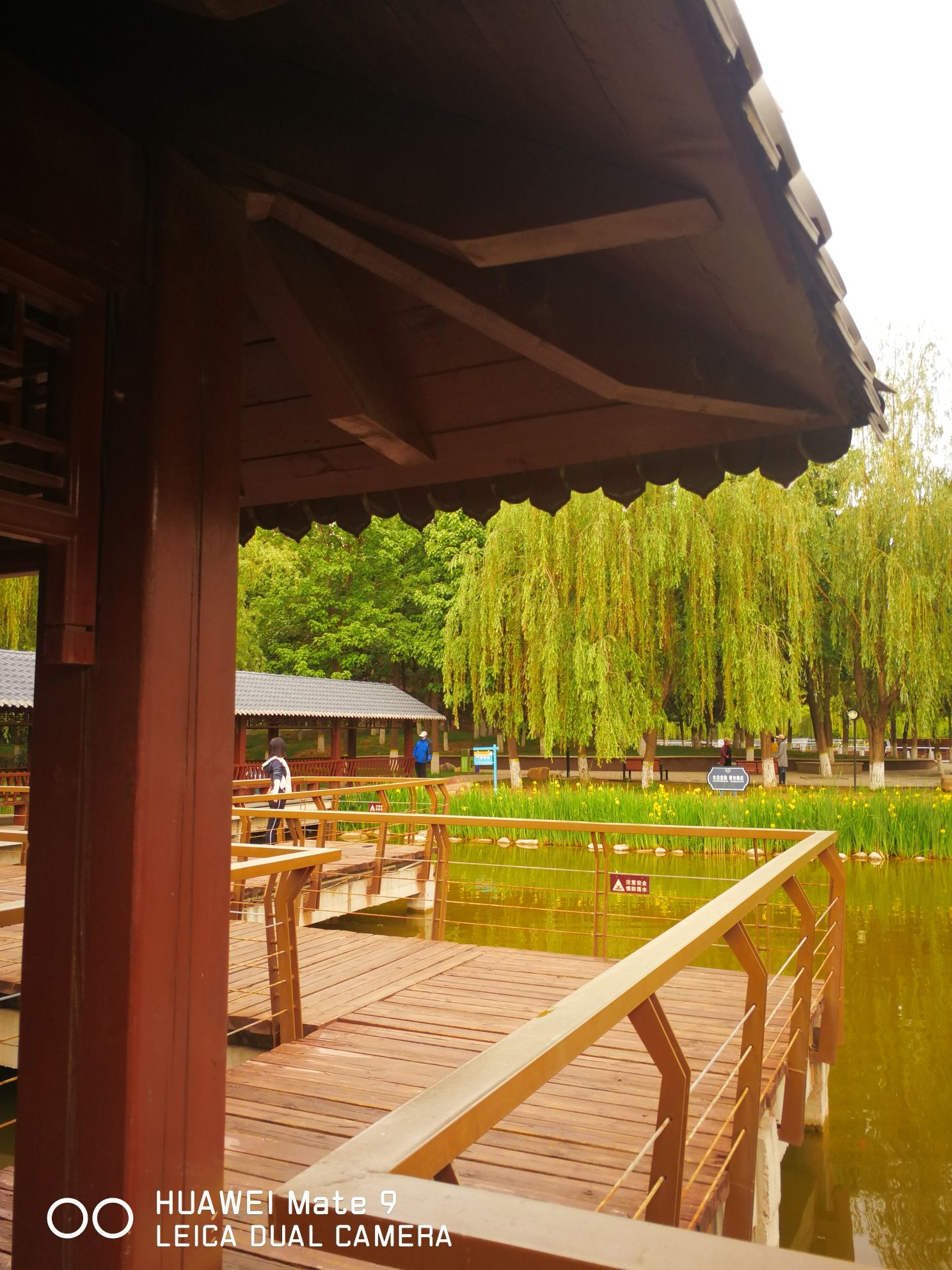 东环公园旅行图片 2