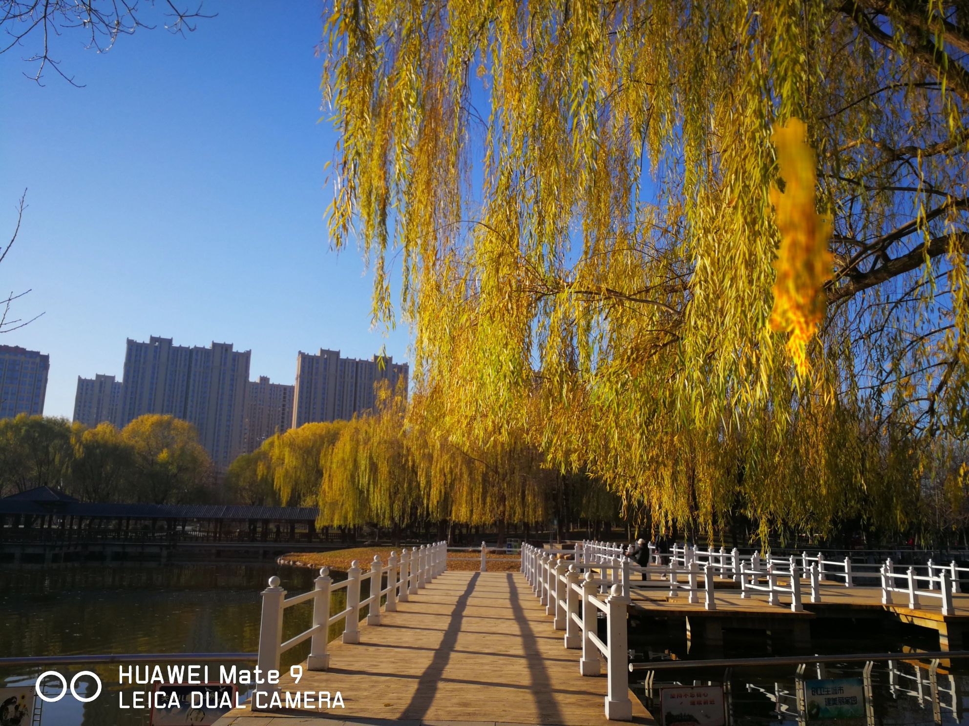 东环公园旅行图片 1