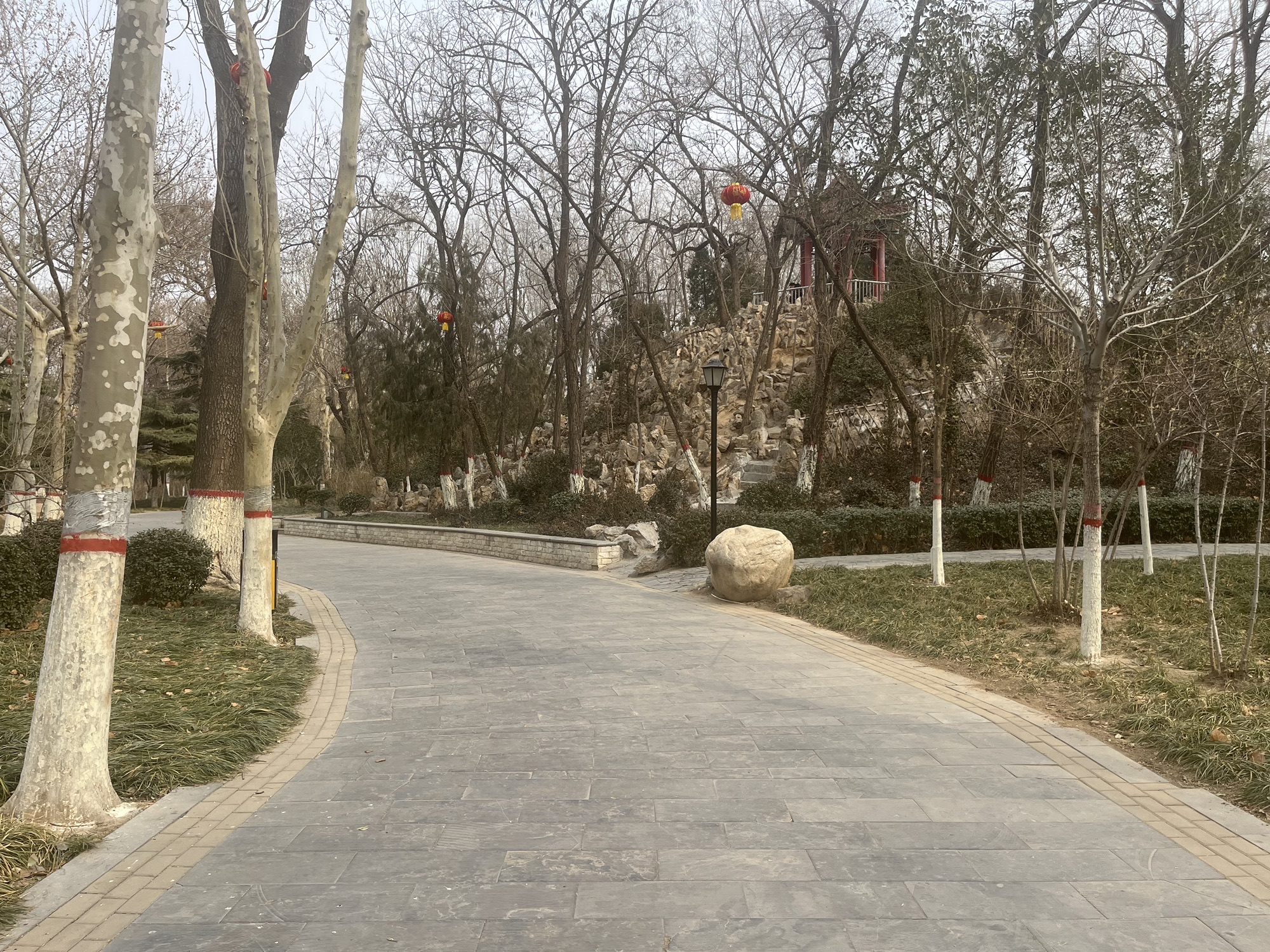 金鹿公园旅行图片 3