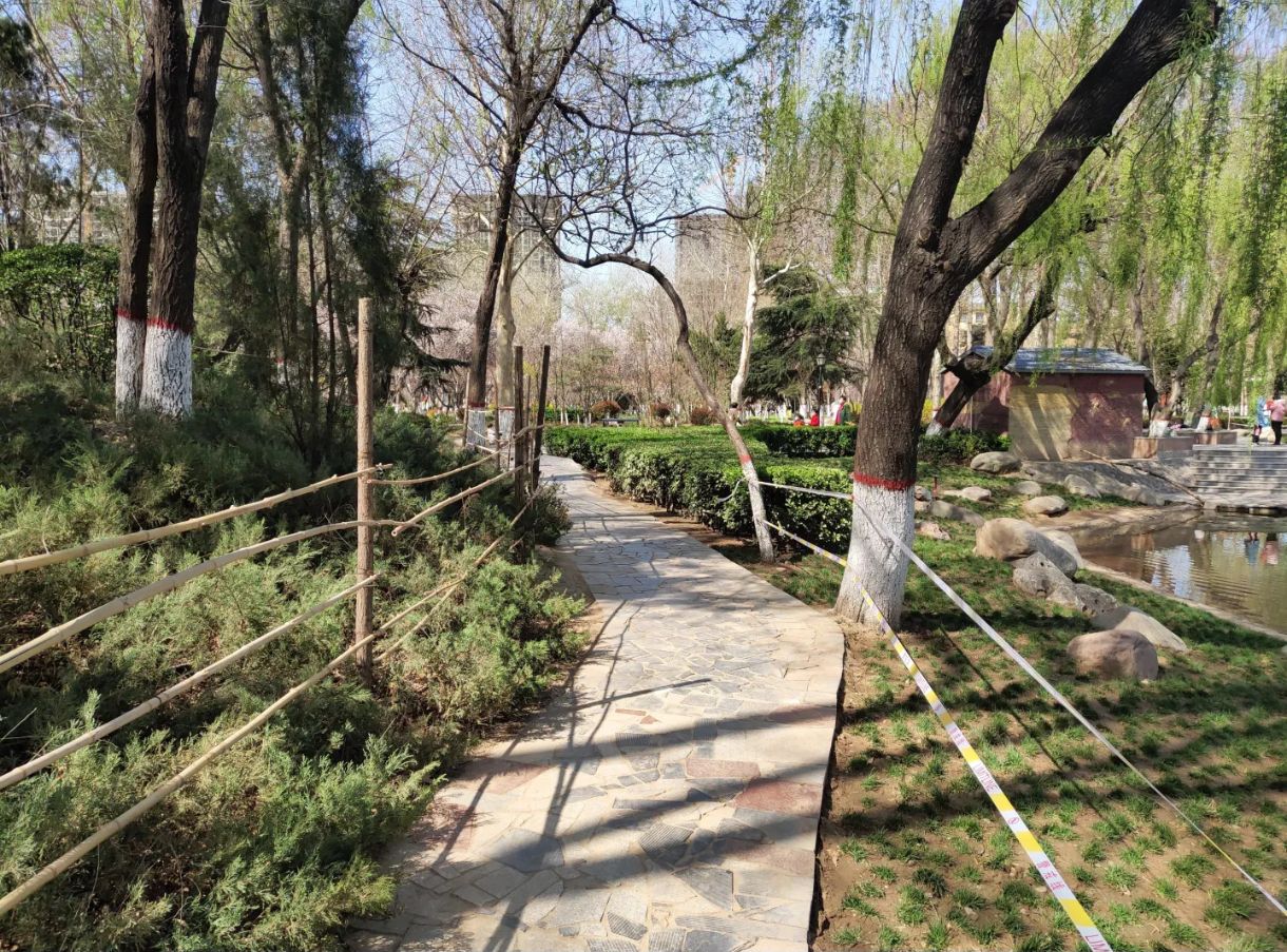 金鹿公园旅行图片 3