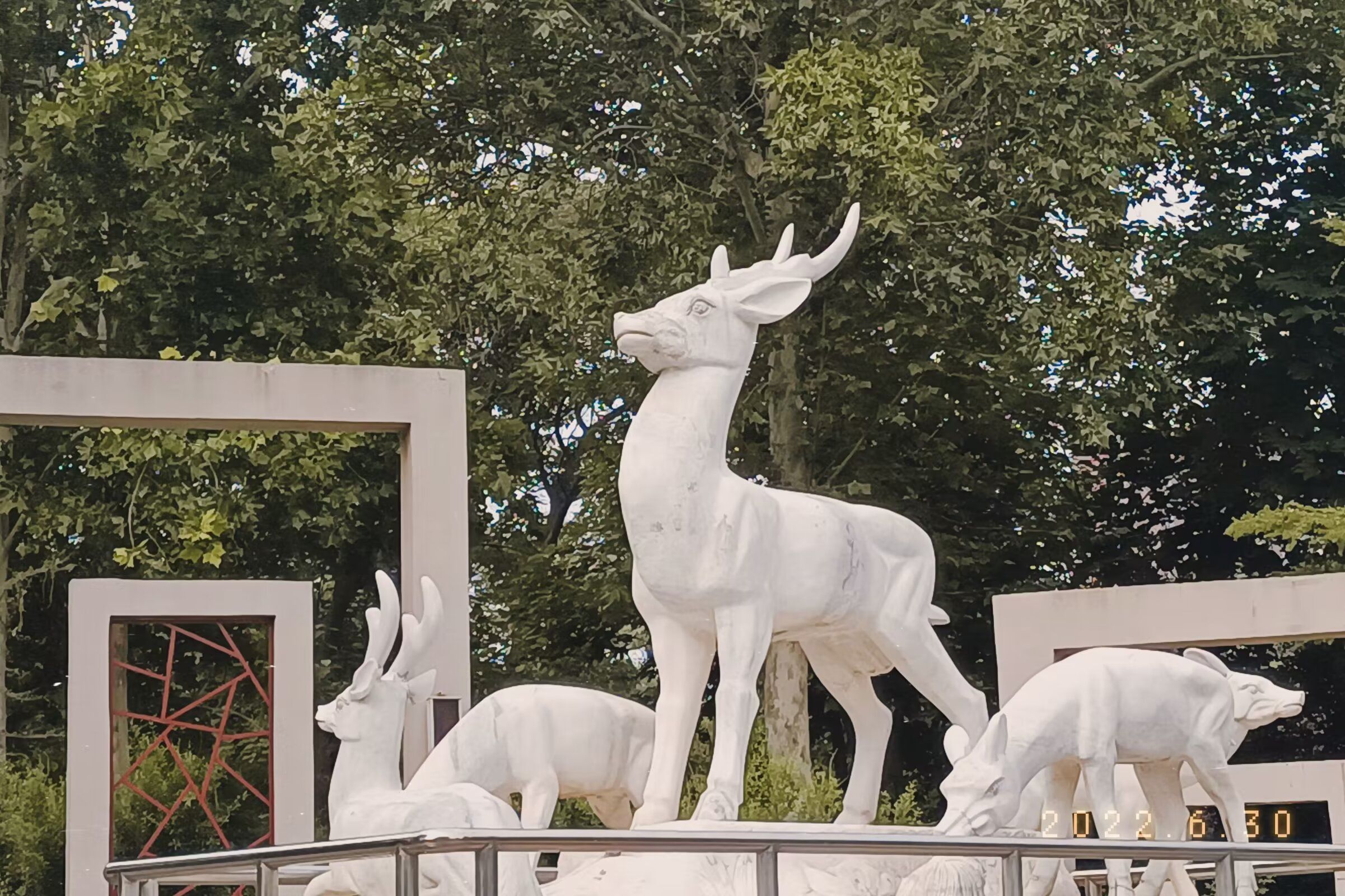 金鹿公园旅行图片 1