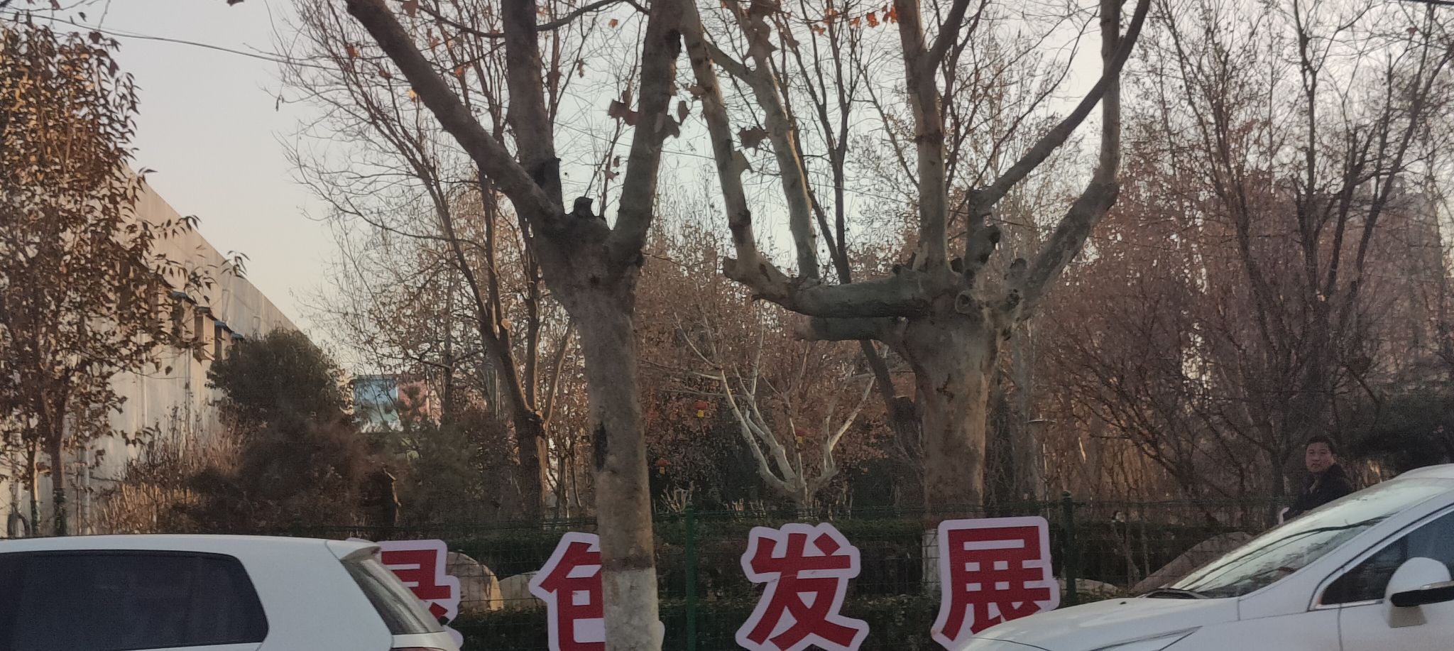 金鹿公园旅行图片 2