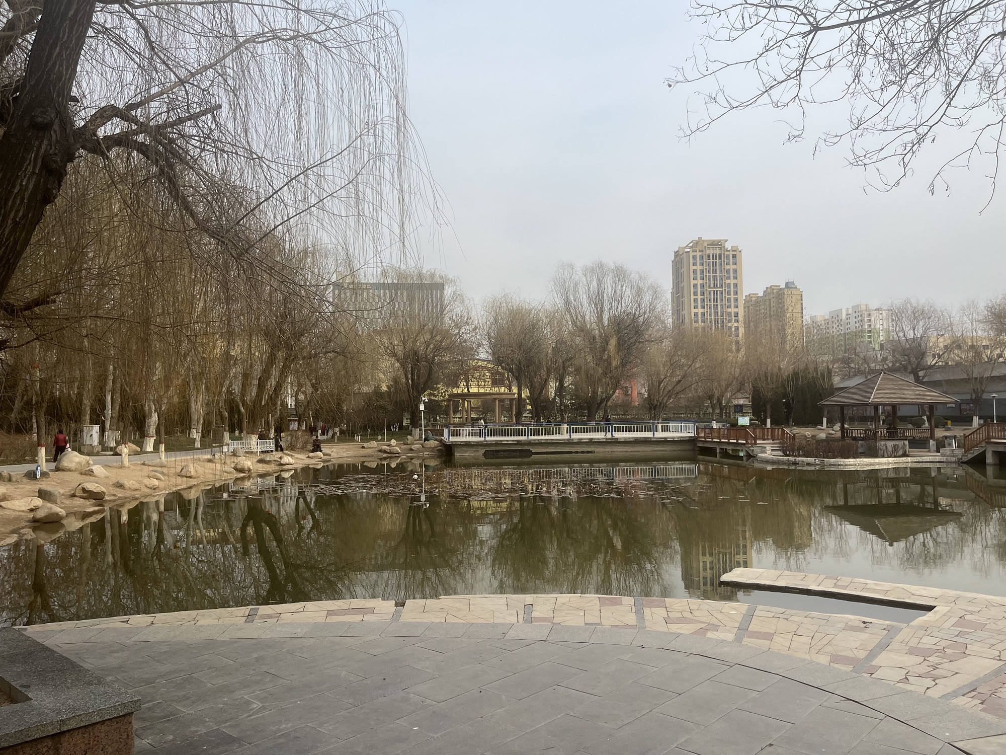 金鹿公园旅行图片 1