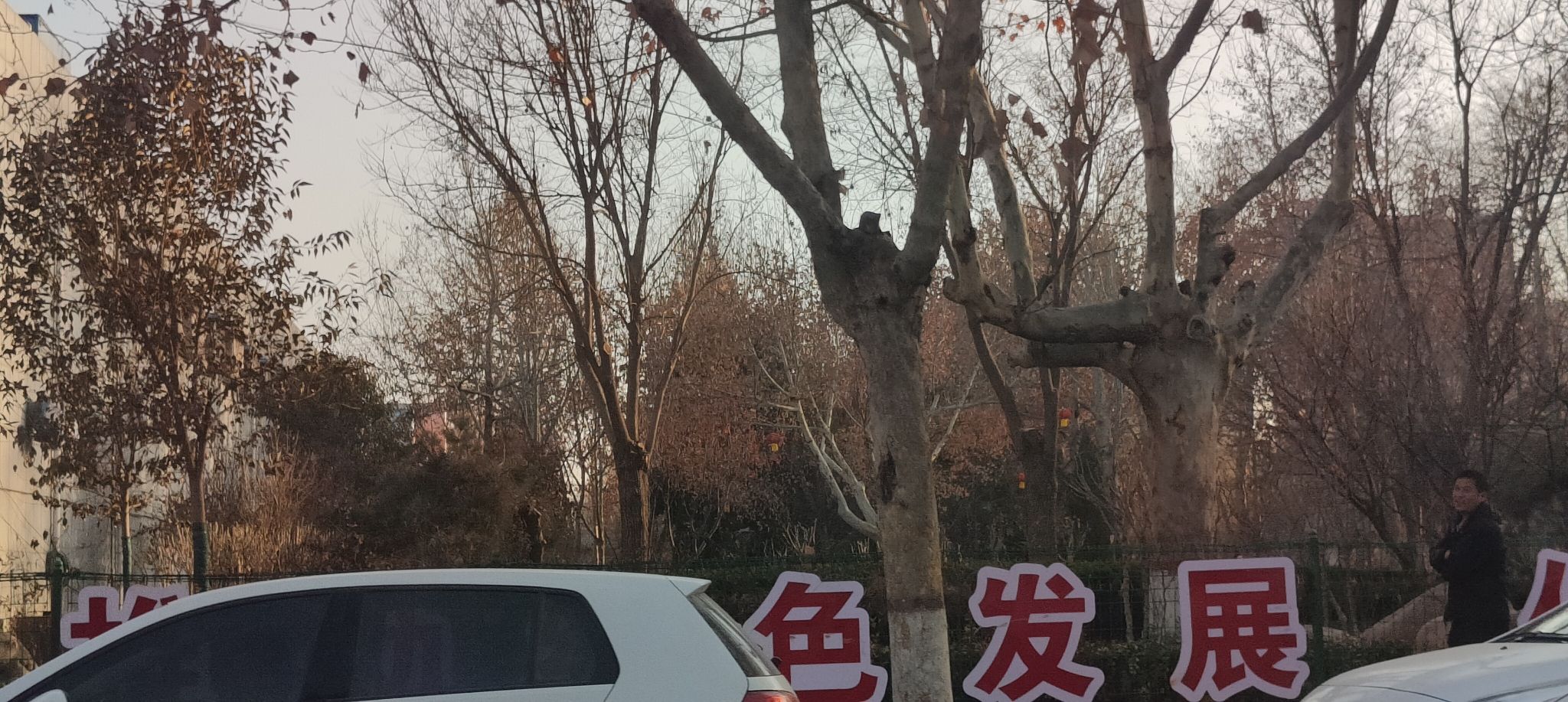 金鹿公园旅行图片 3