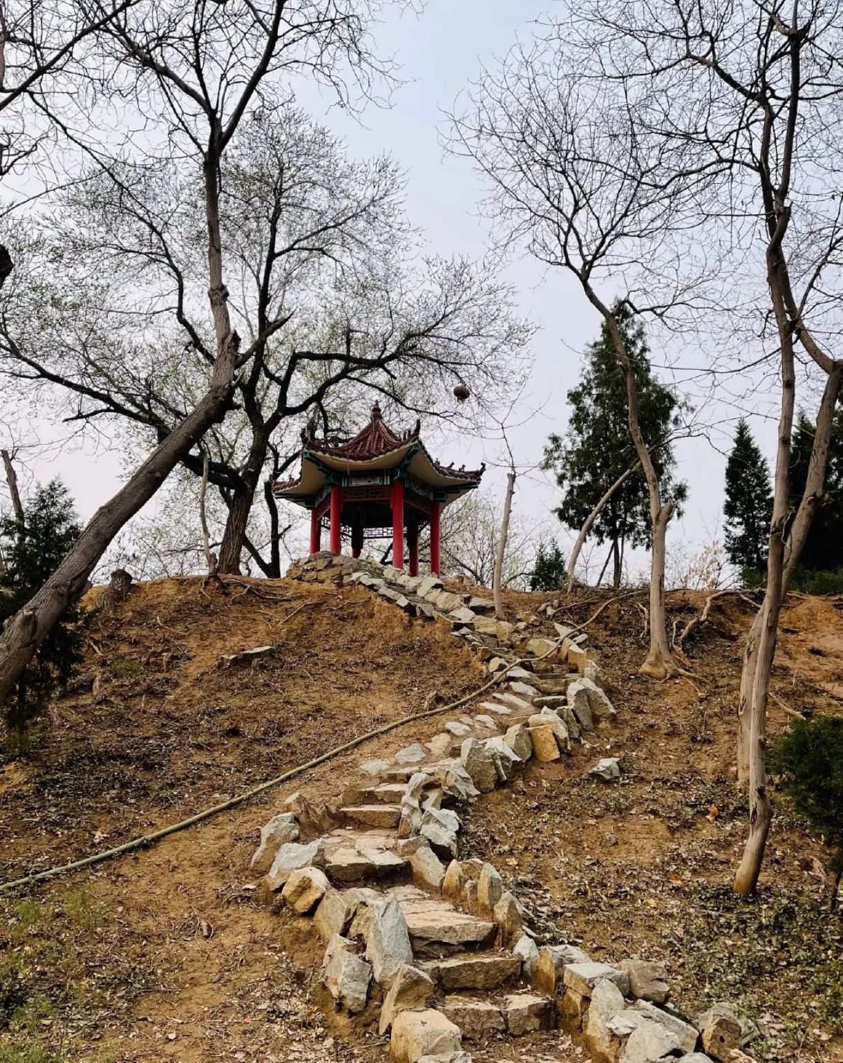 金鹿公园旅行图片 2