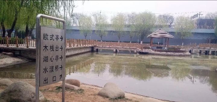 金鹿公园旅行图片 1