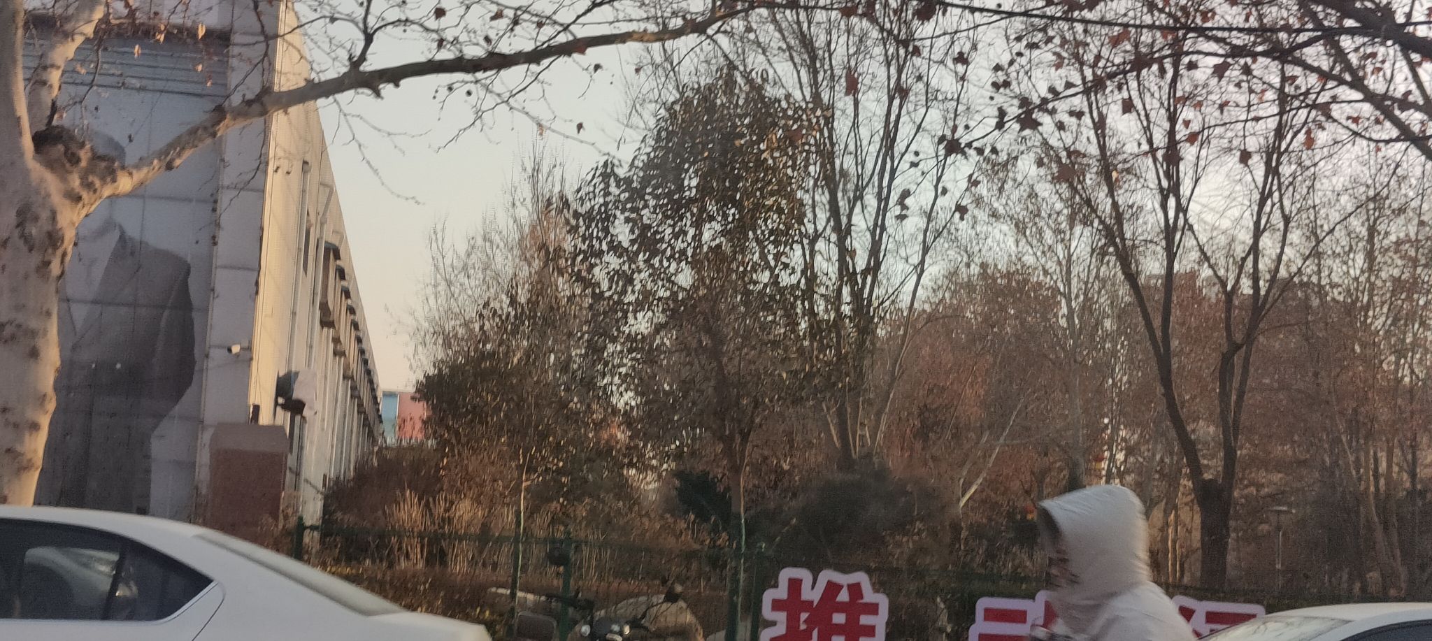 金鹿公园旅行图片 1