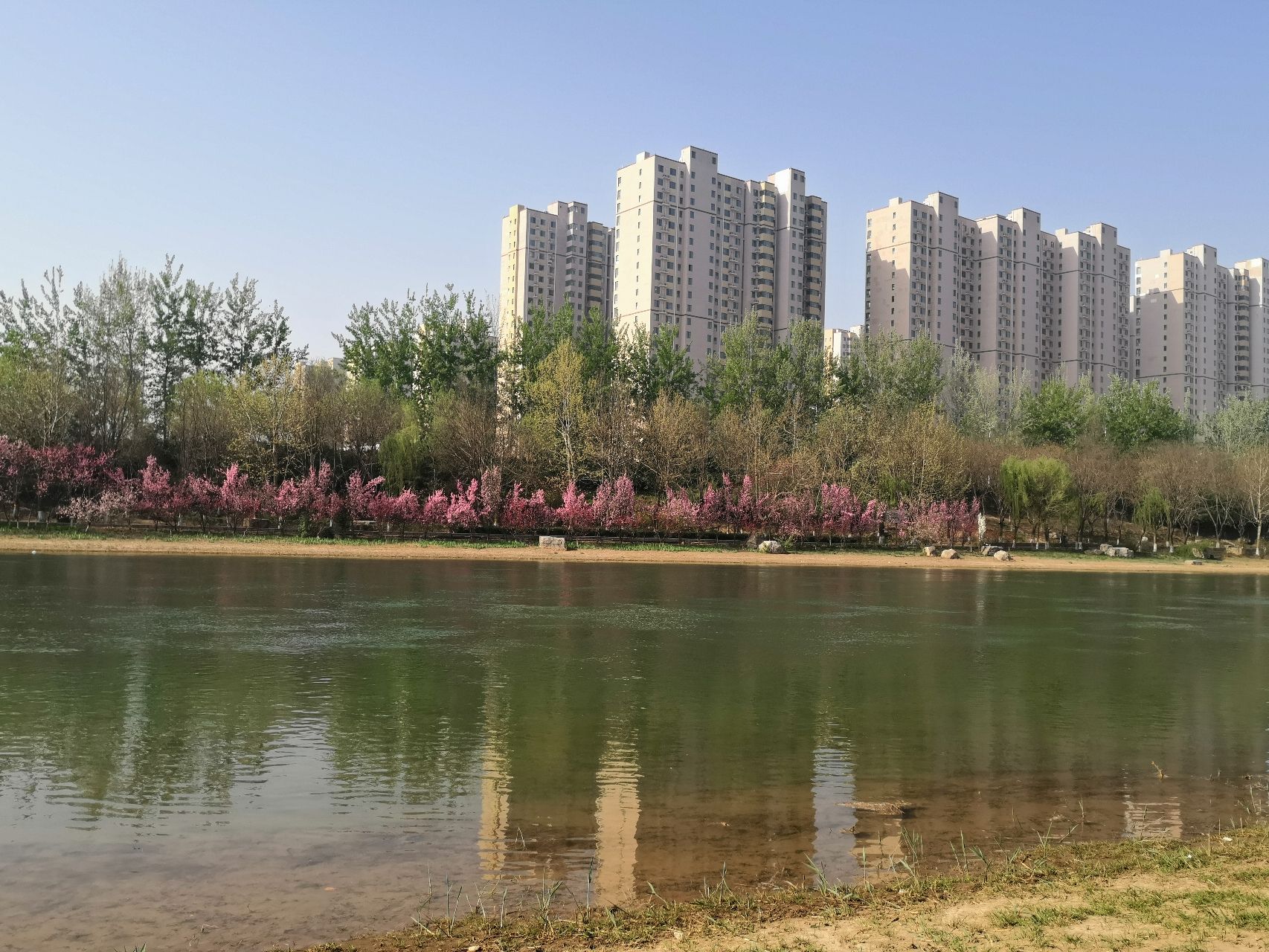 太平河风景区旅行图片 3