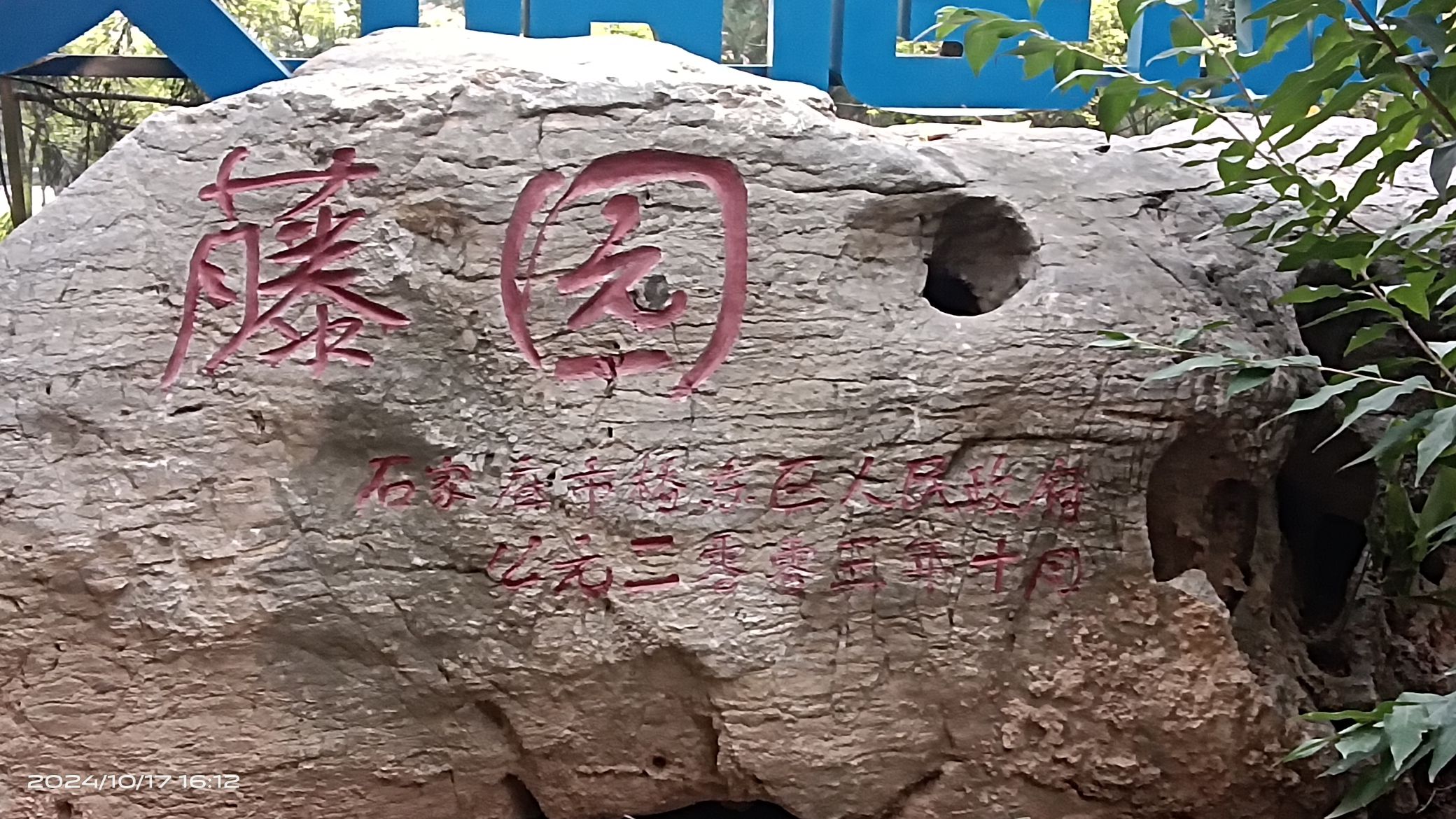 藤园旅行图片 1
