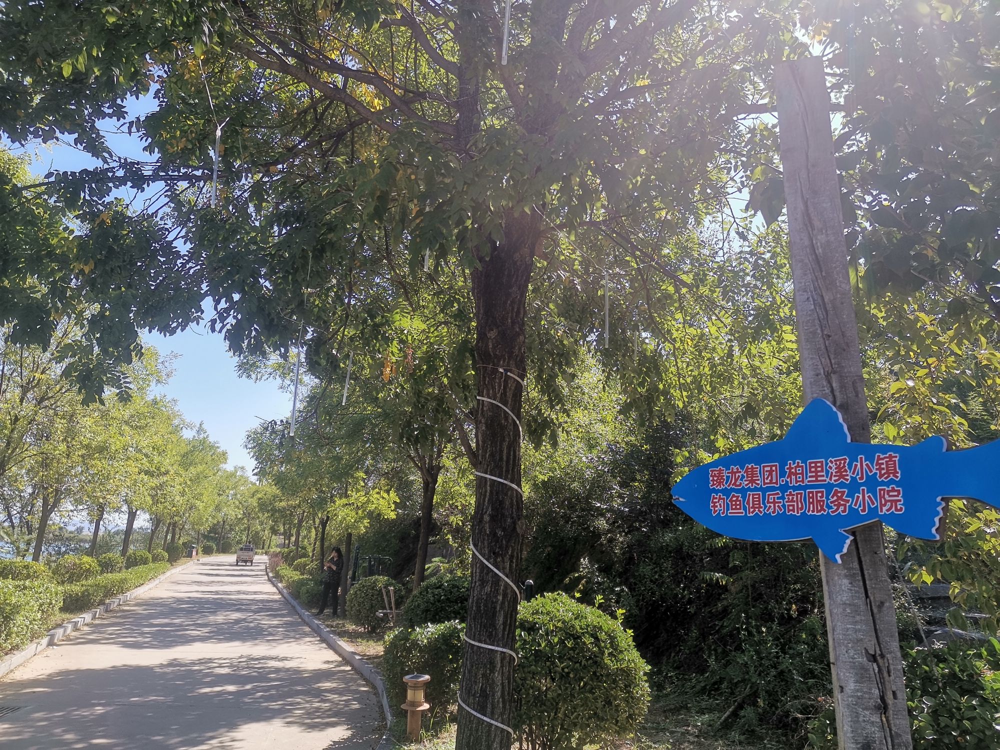 温塘度假区旅行图片 1