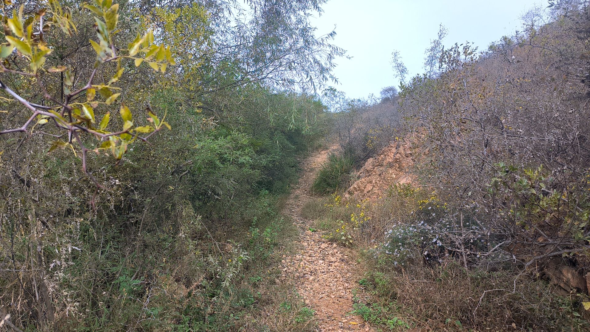 温塘度假区旅行图片 1