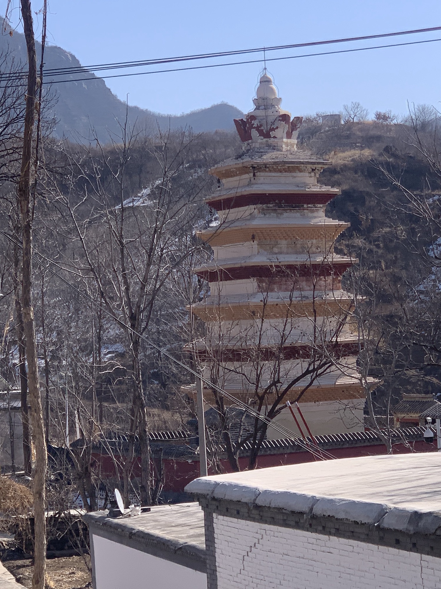 幽居寺塔旅行图片 1