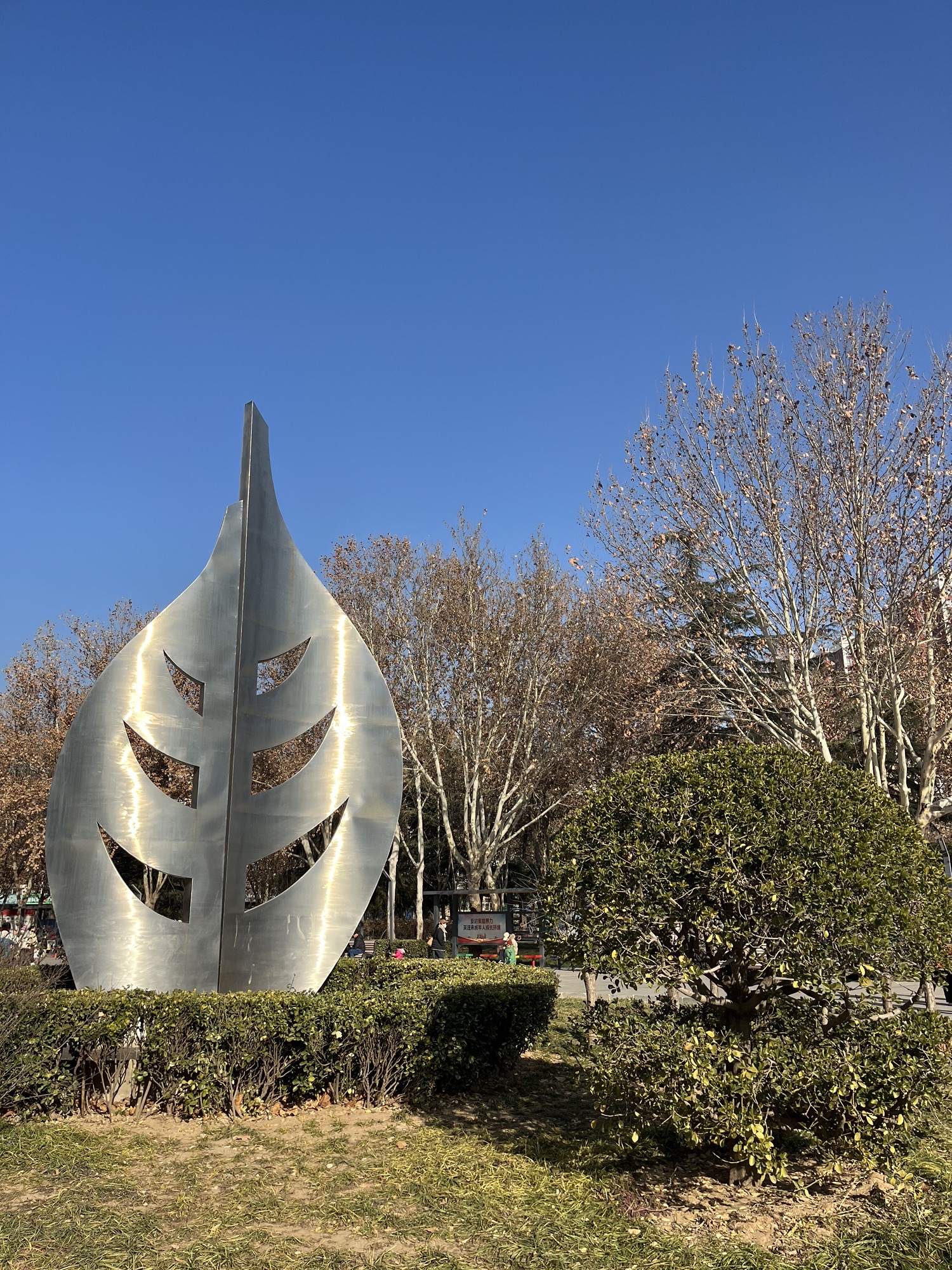 丁香园旅行图片 2