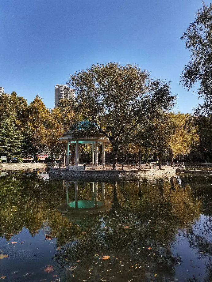 丁香园旅行图片 2