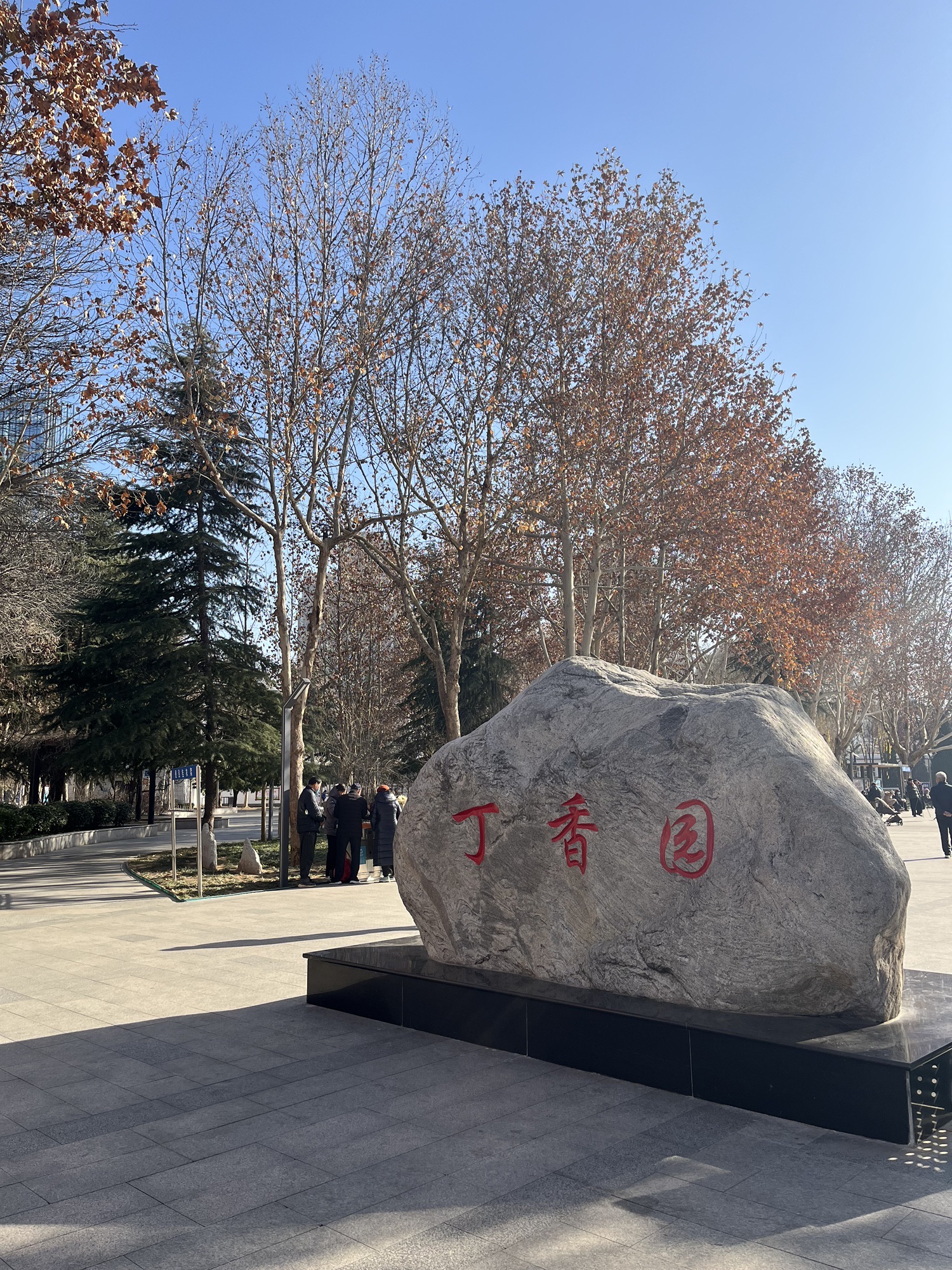 丁香园旅行图片 1
