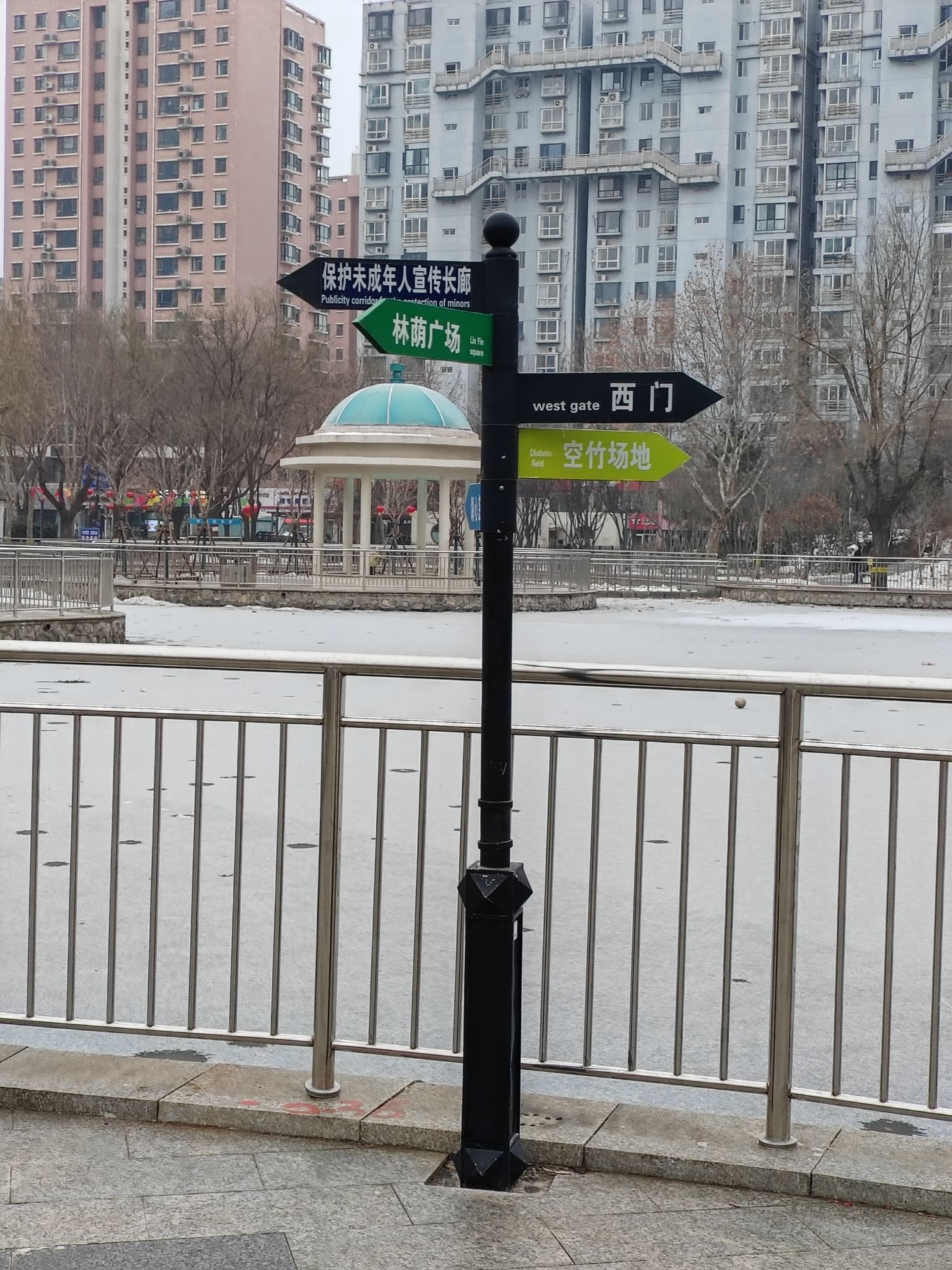 丁香园旅行图片 3
