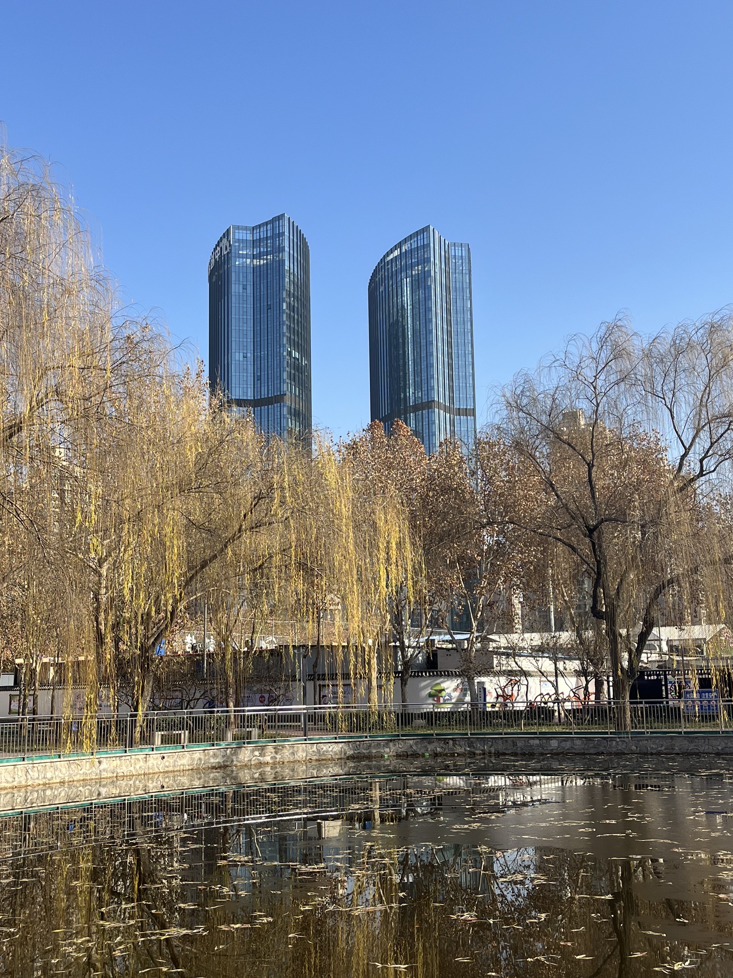 丁香园旅行图片 3
