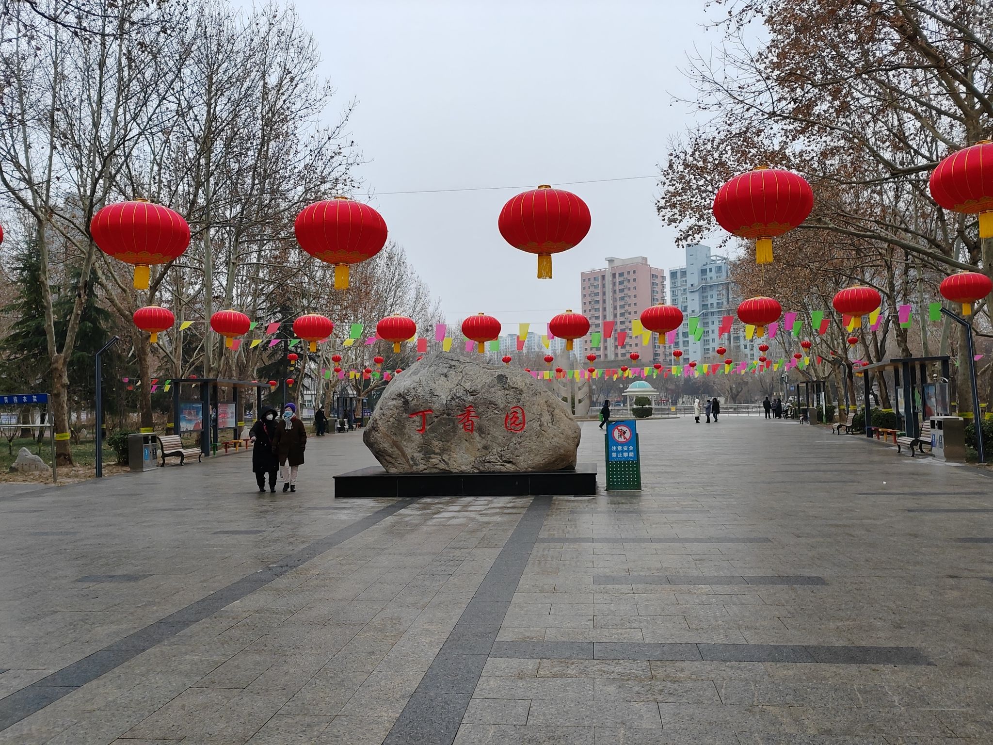 丁香园旅行图片 1
