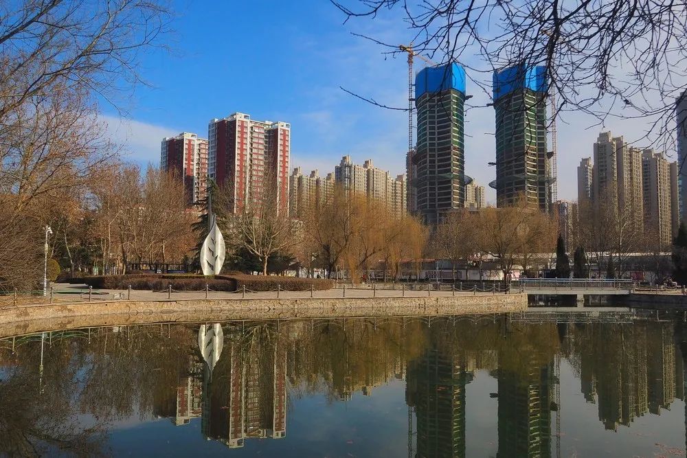 丁香园旅行图片 3