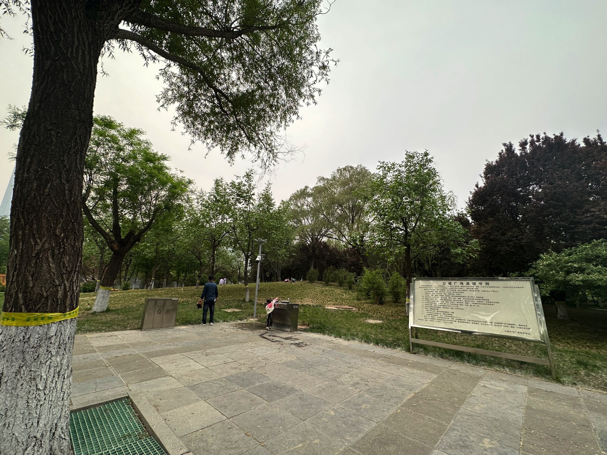 枫华园旅行图片 3