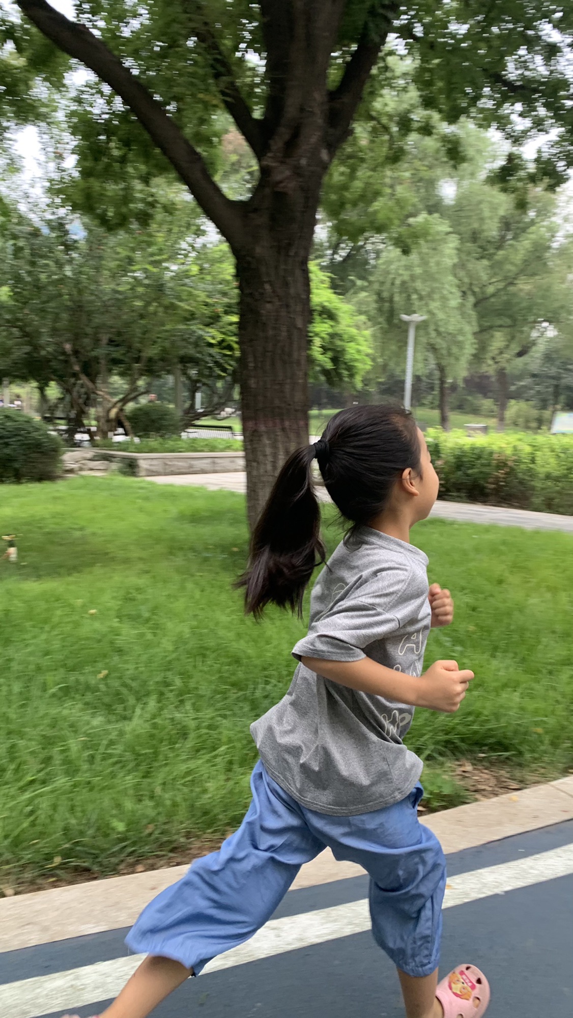 枫华园旅行图片 3