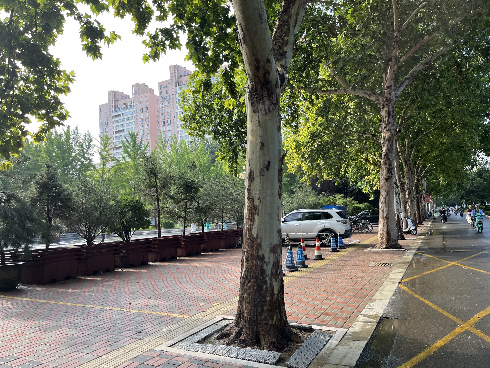 西清公园旅行图片 3