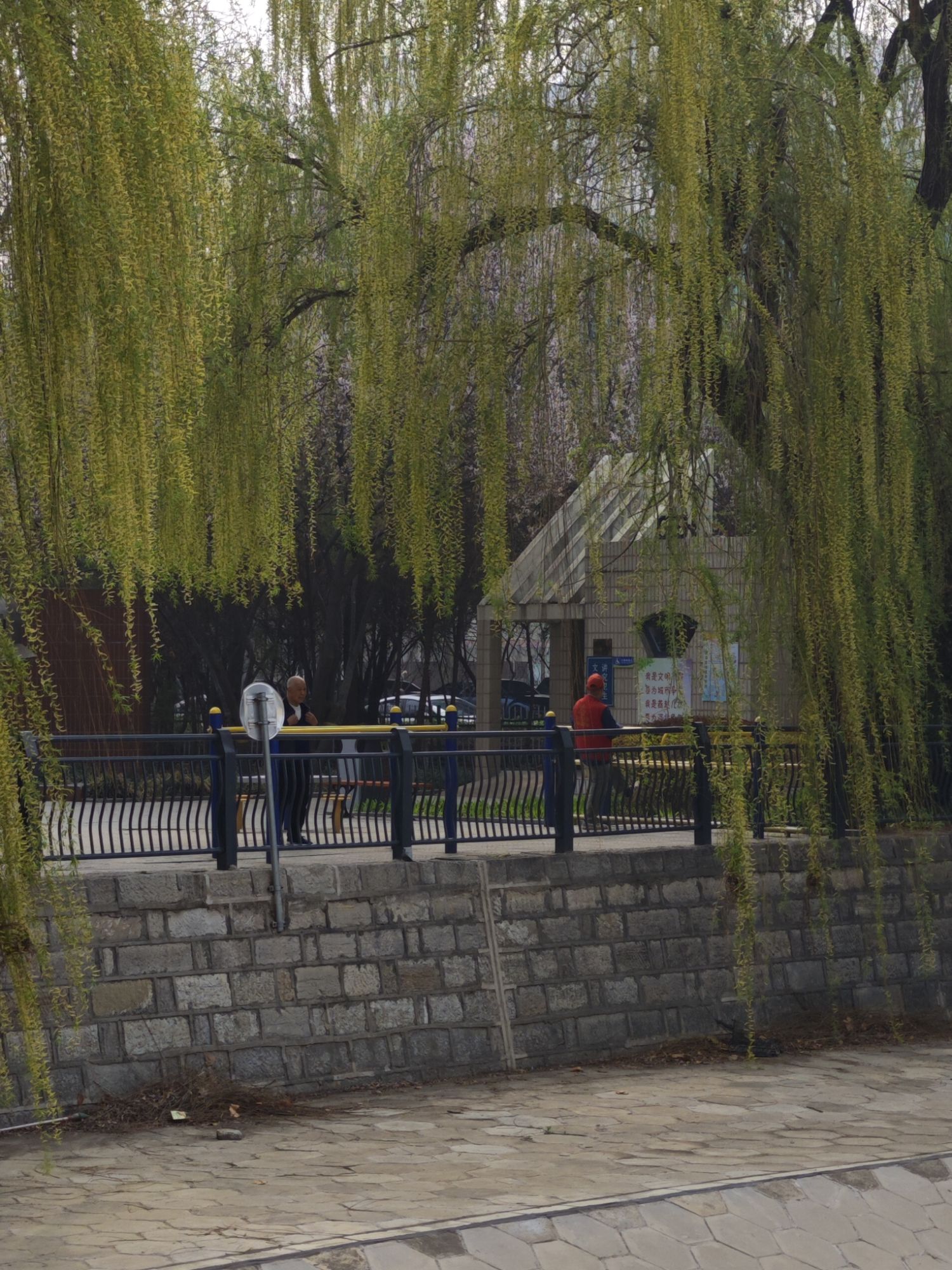 民心园旅行图片 3