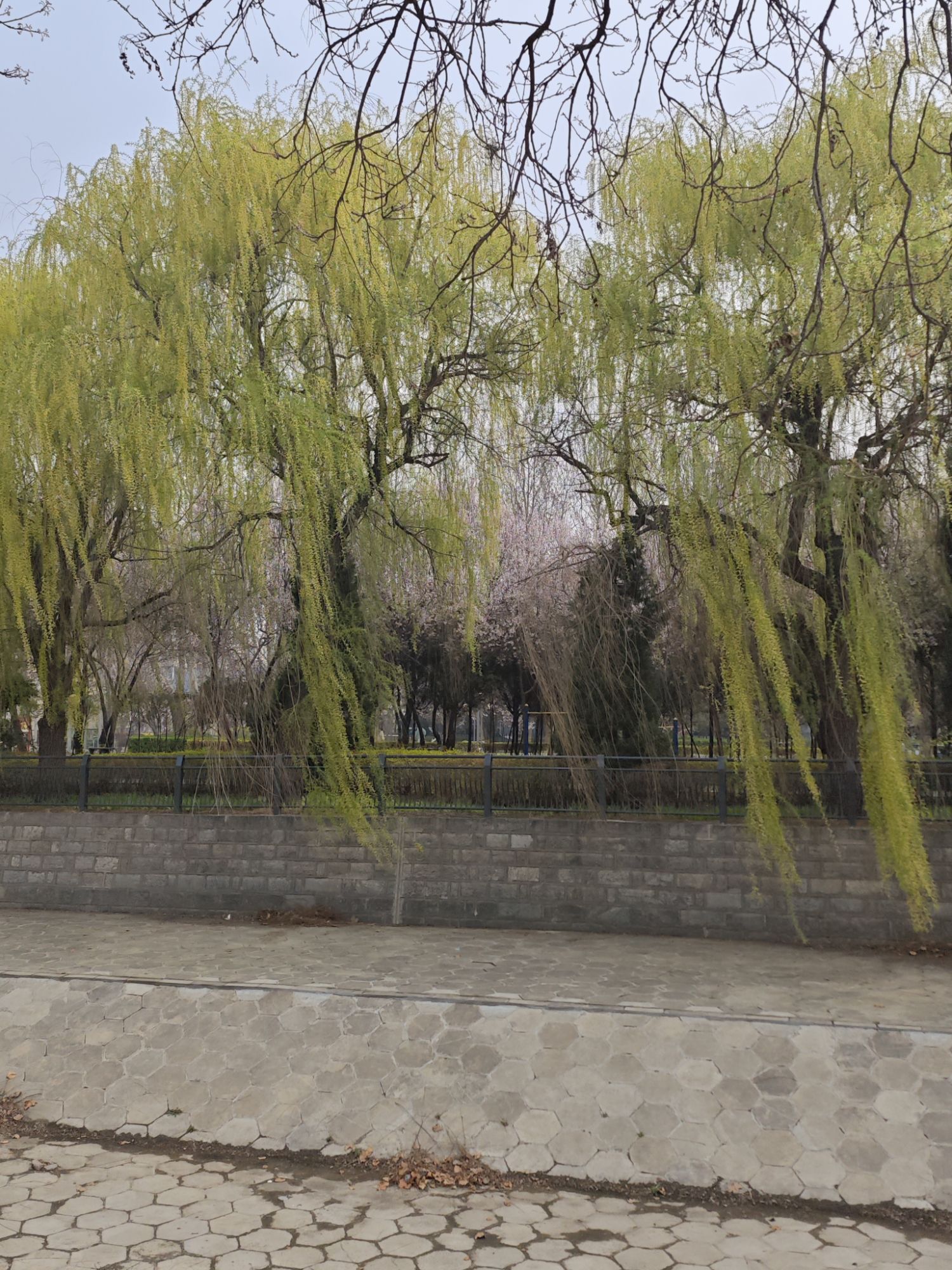 民心园旅行图片 2