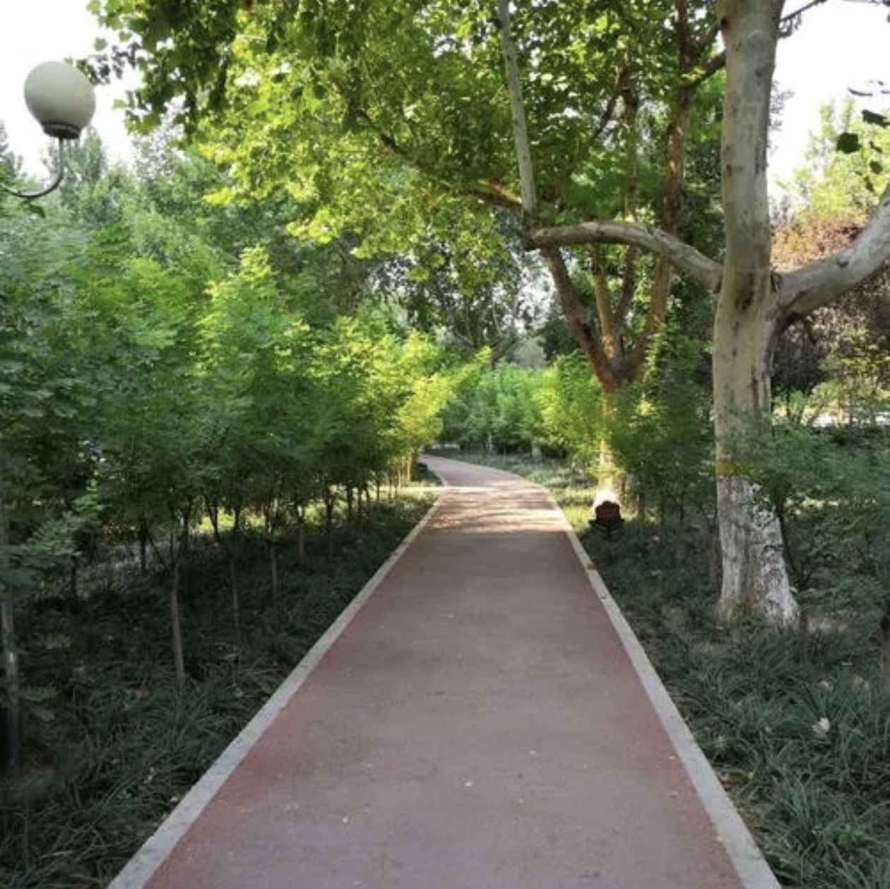 薇波公园旅行图片 2