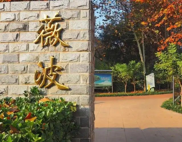 薇波公园