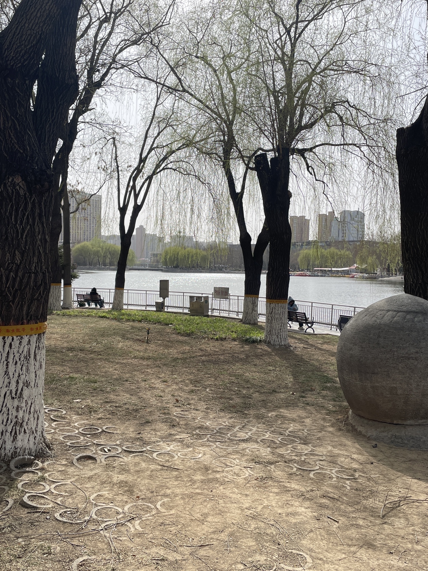 世纪公园旅行图片 1