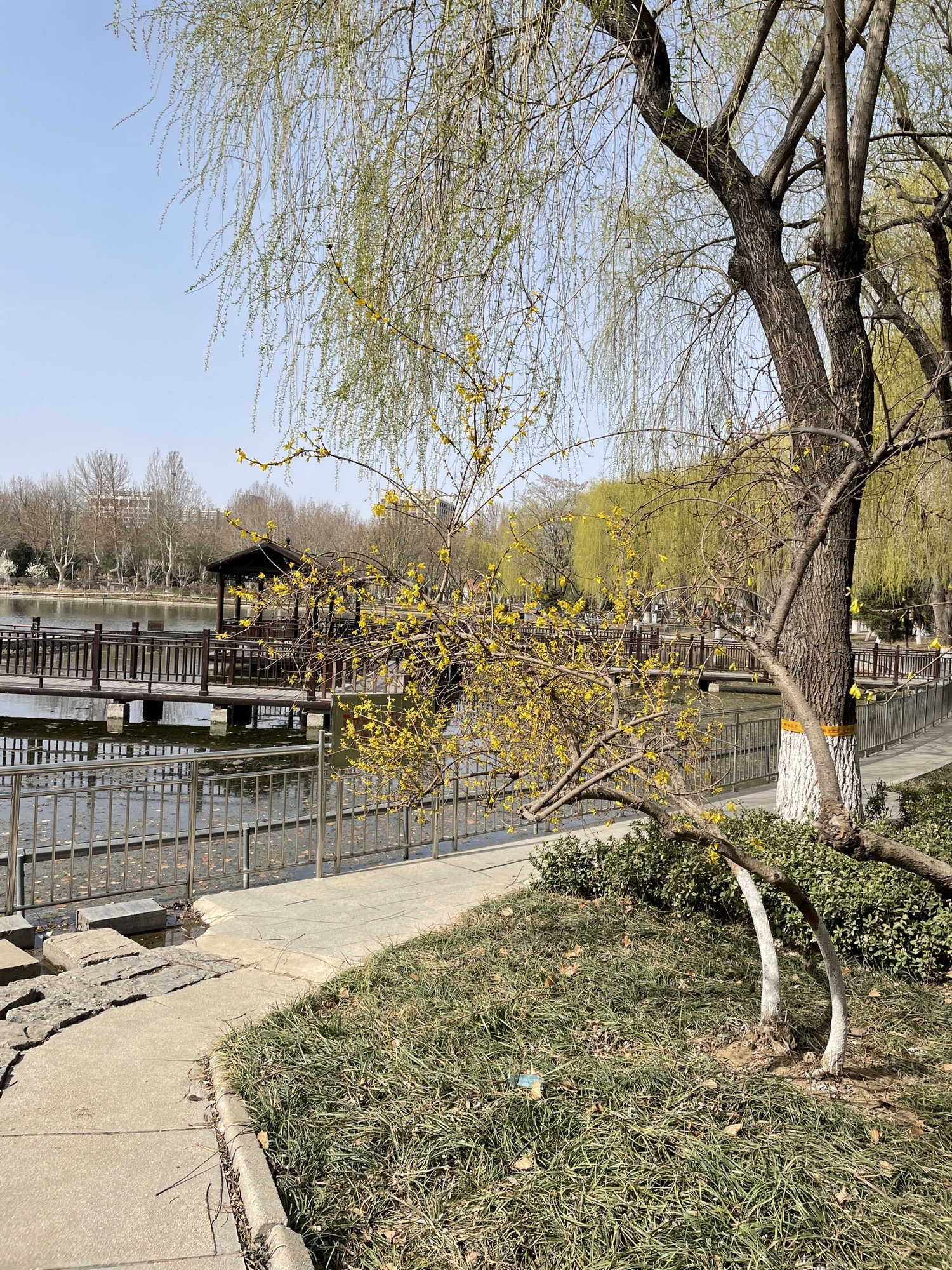 世纪公园旅行图片 2