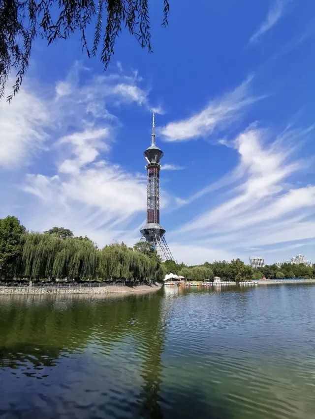 世纪公园旅行图片 2