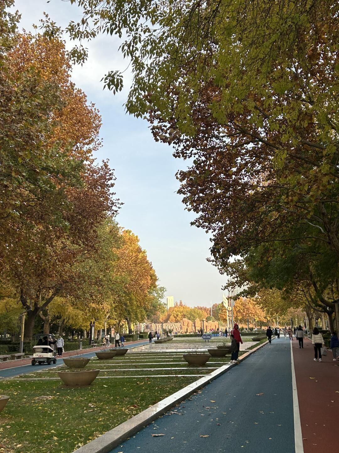 世纪公园旅行图片 1