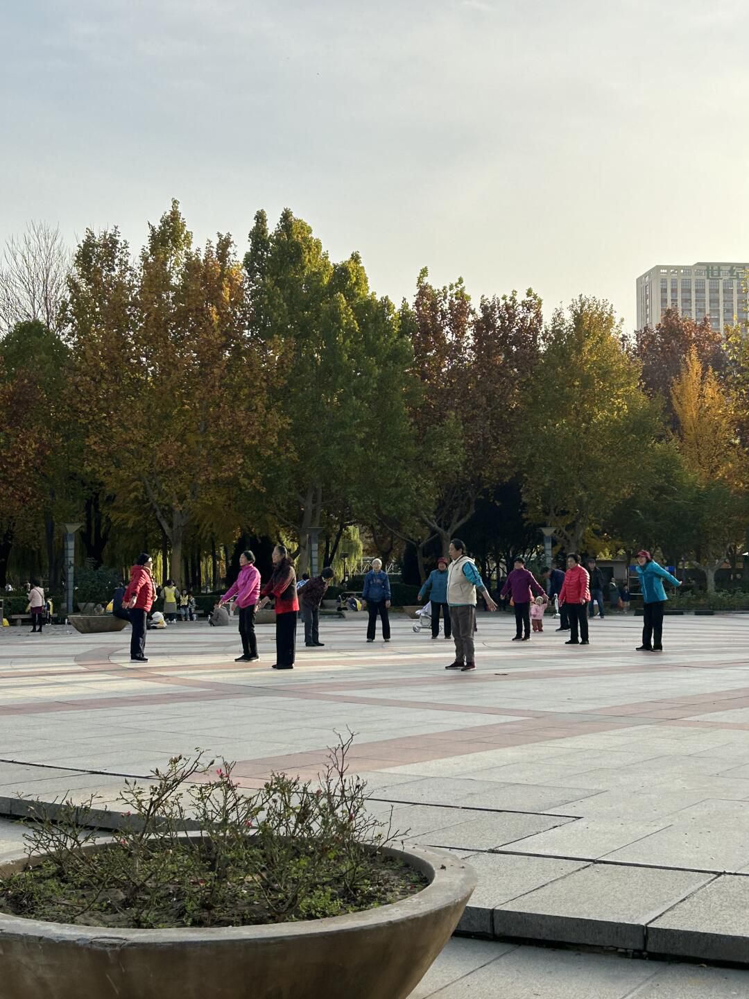 世纪公园旅行图片 2