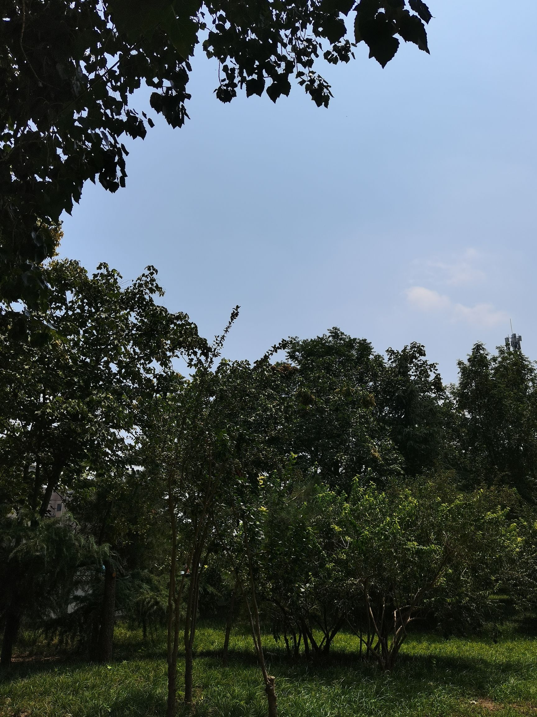 世纪公园旅行图片 1