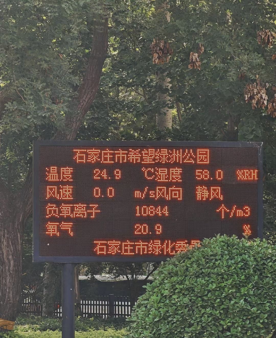 希望绿洲公园旅行图片 2