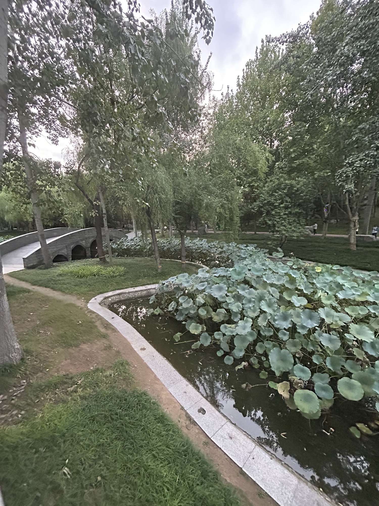 希望绿洲公园旅行图片 3