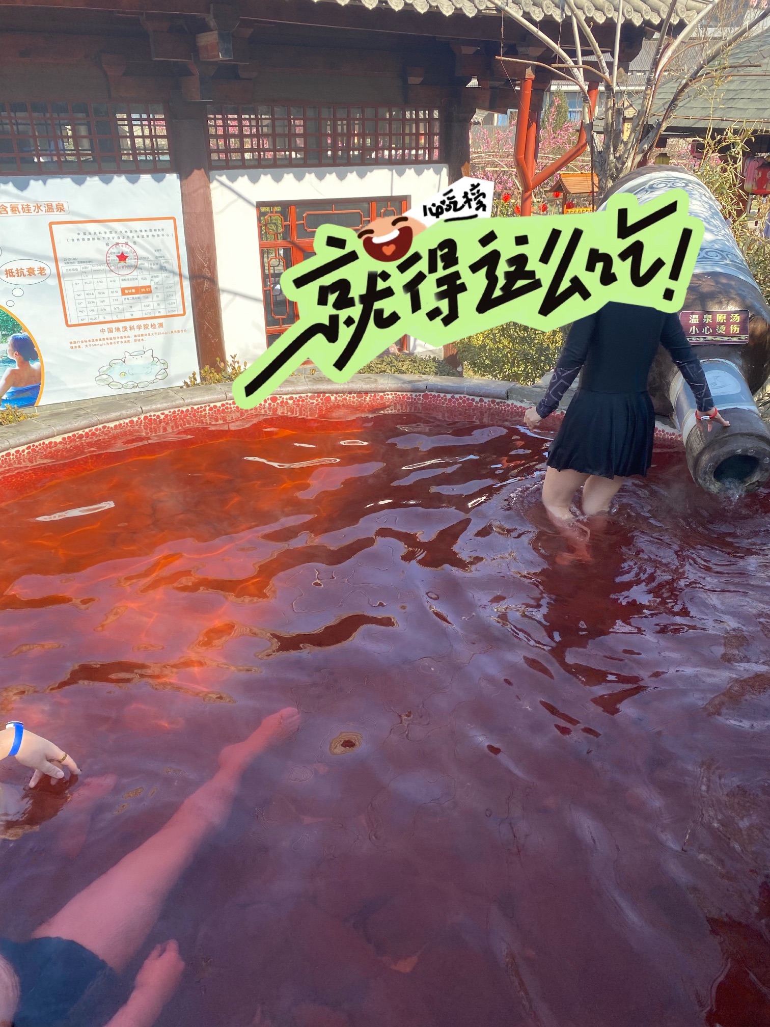 白鹿温泉旅行图片 3