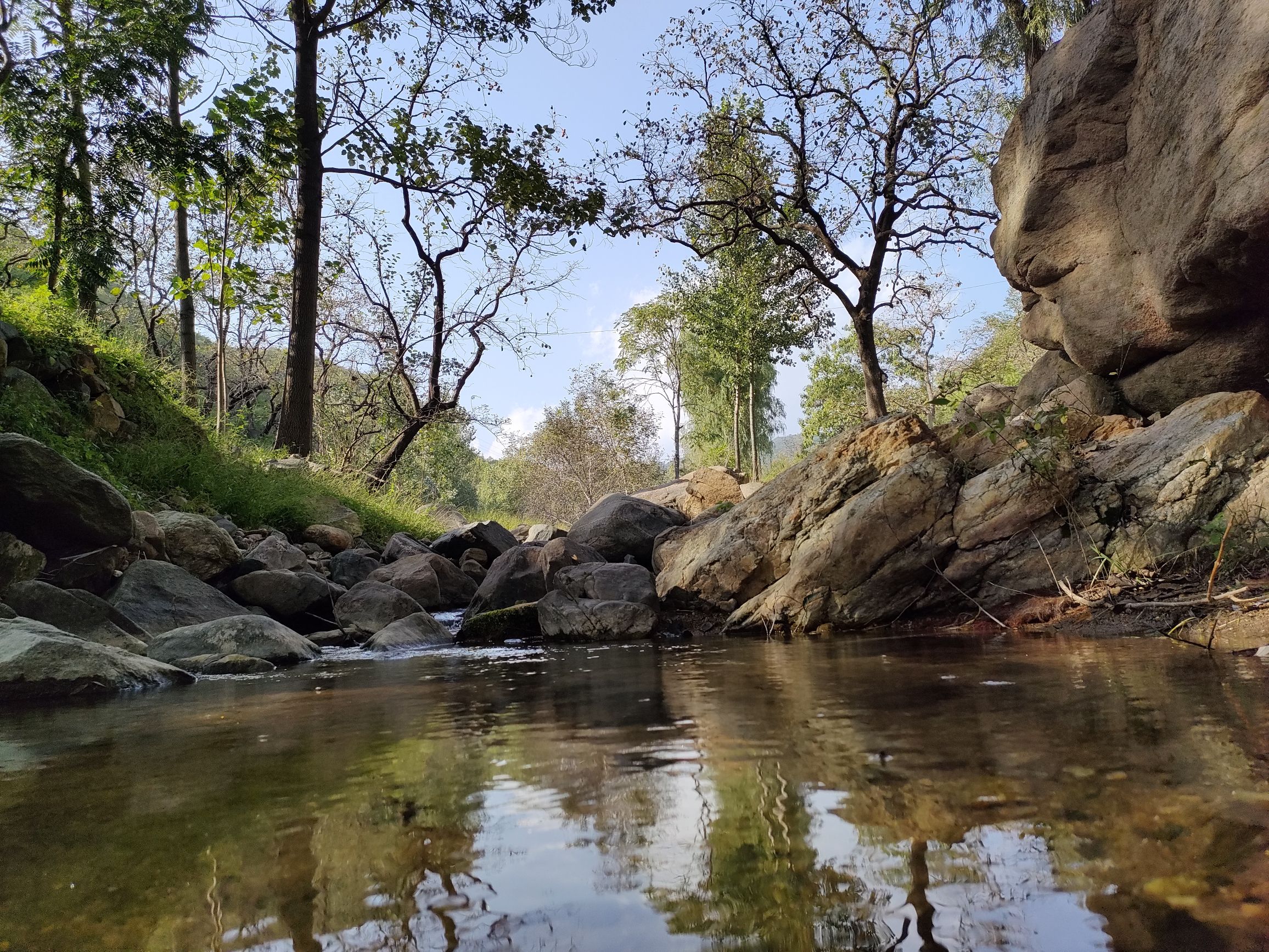 藤龙山景区(暂停开放)旅行图片 1