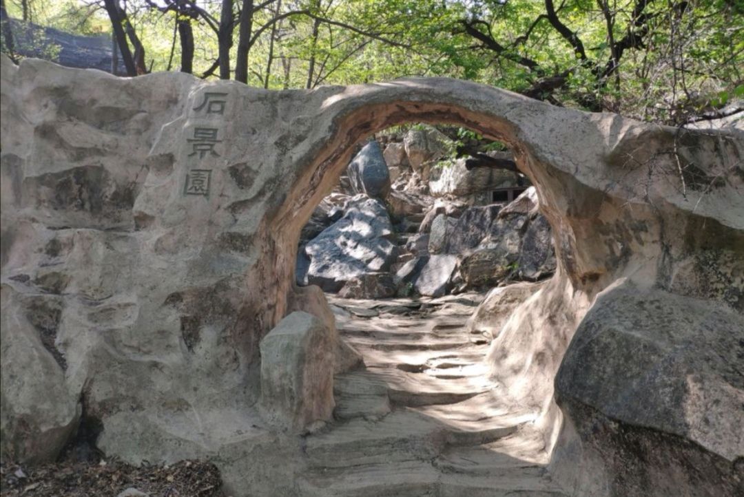 藤龙山景区(暂停开放)旅行图片 3
